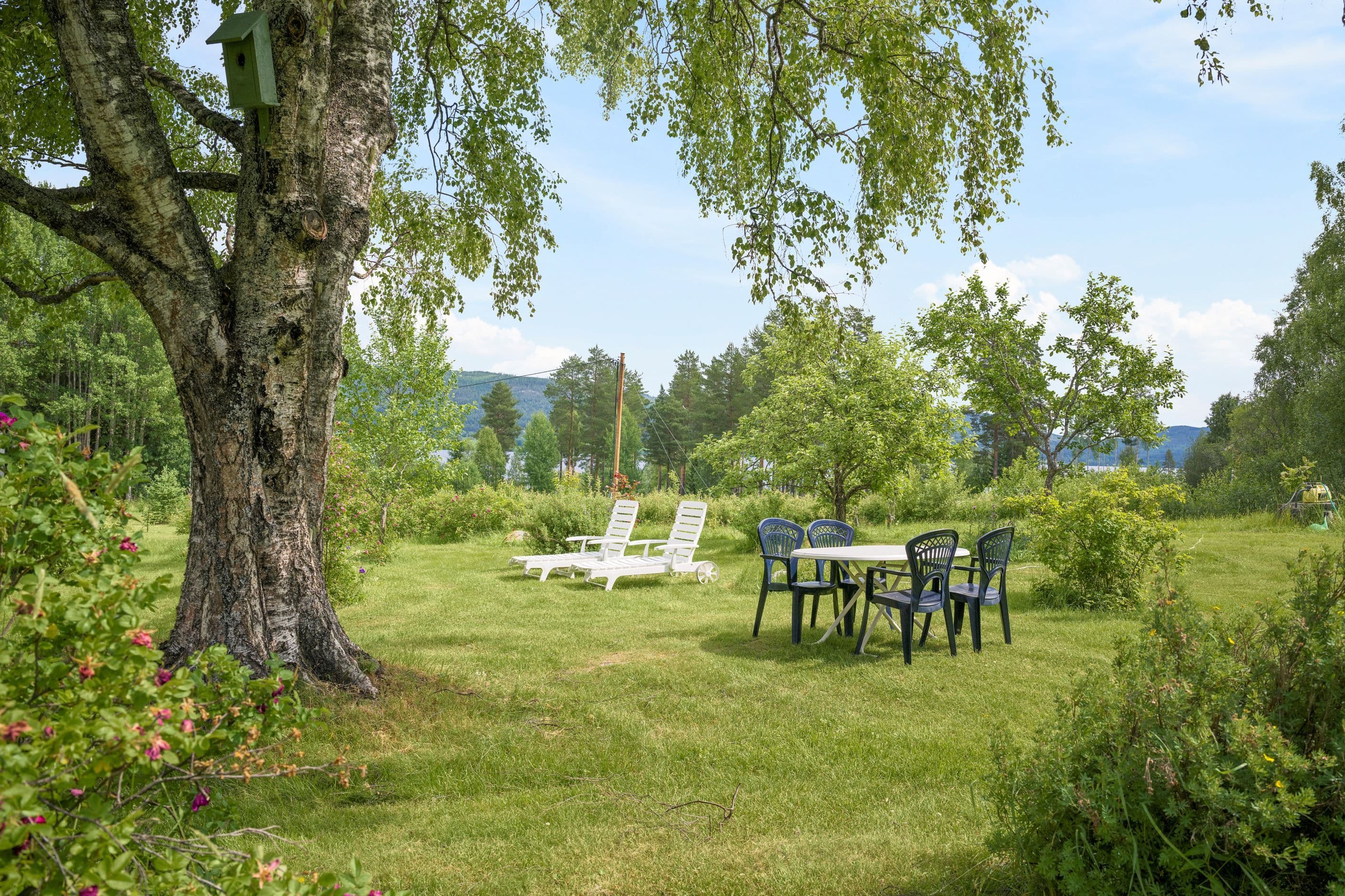 Trädgården