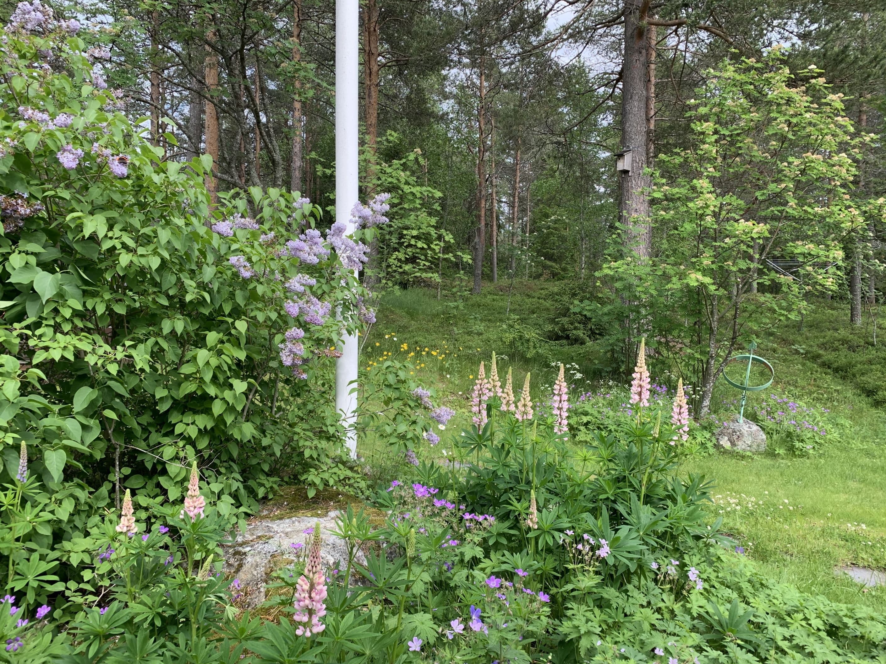 Säljarens bild