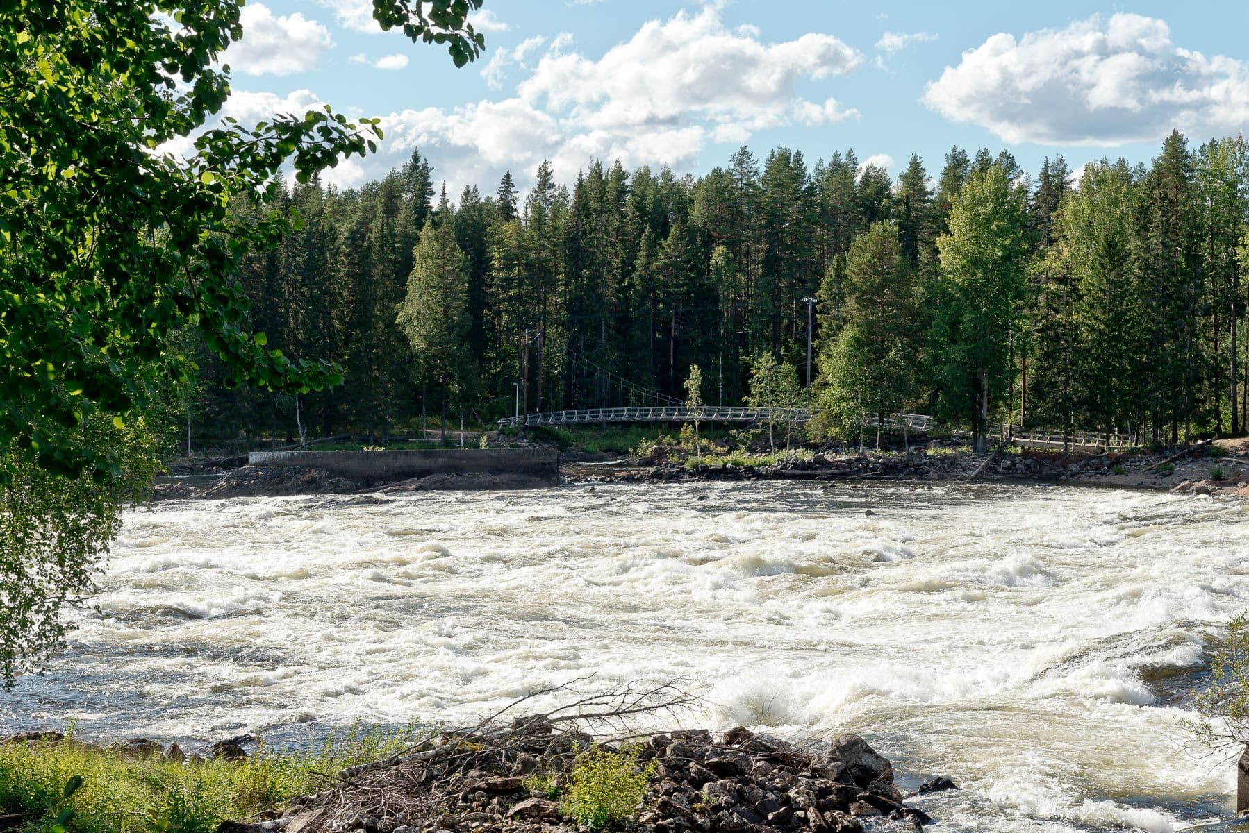 Vackra Vindelälven med trevliga promenadstråk runt broarna