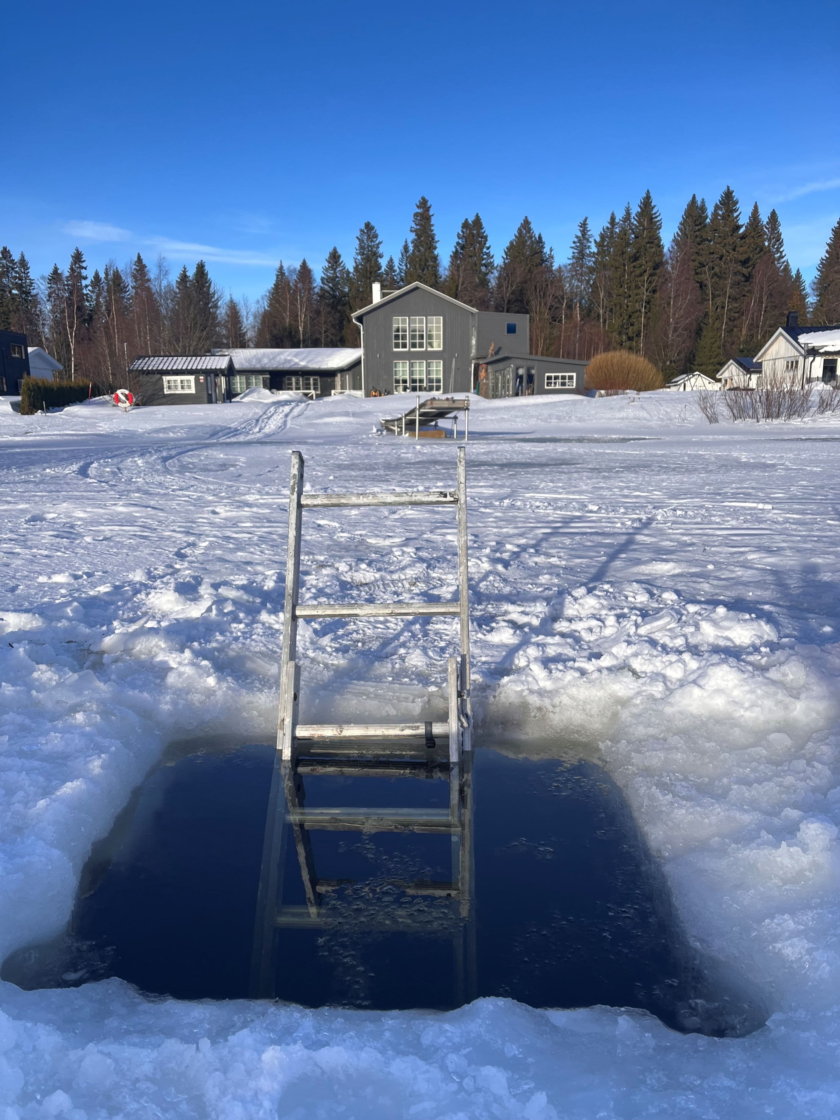 Säljarens bild