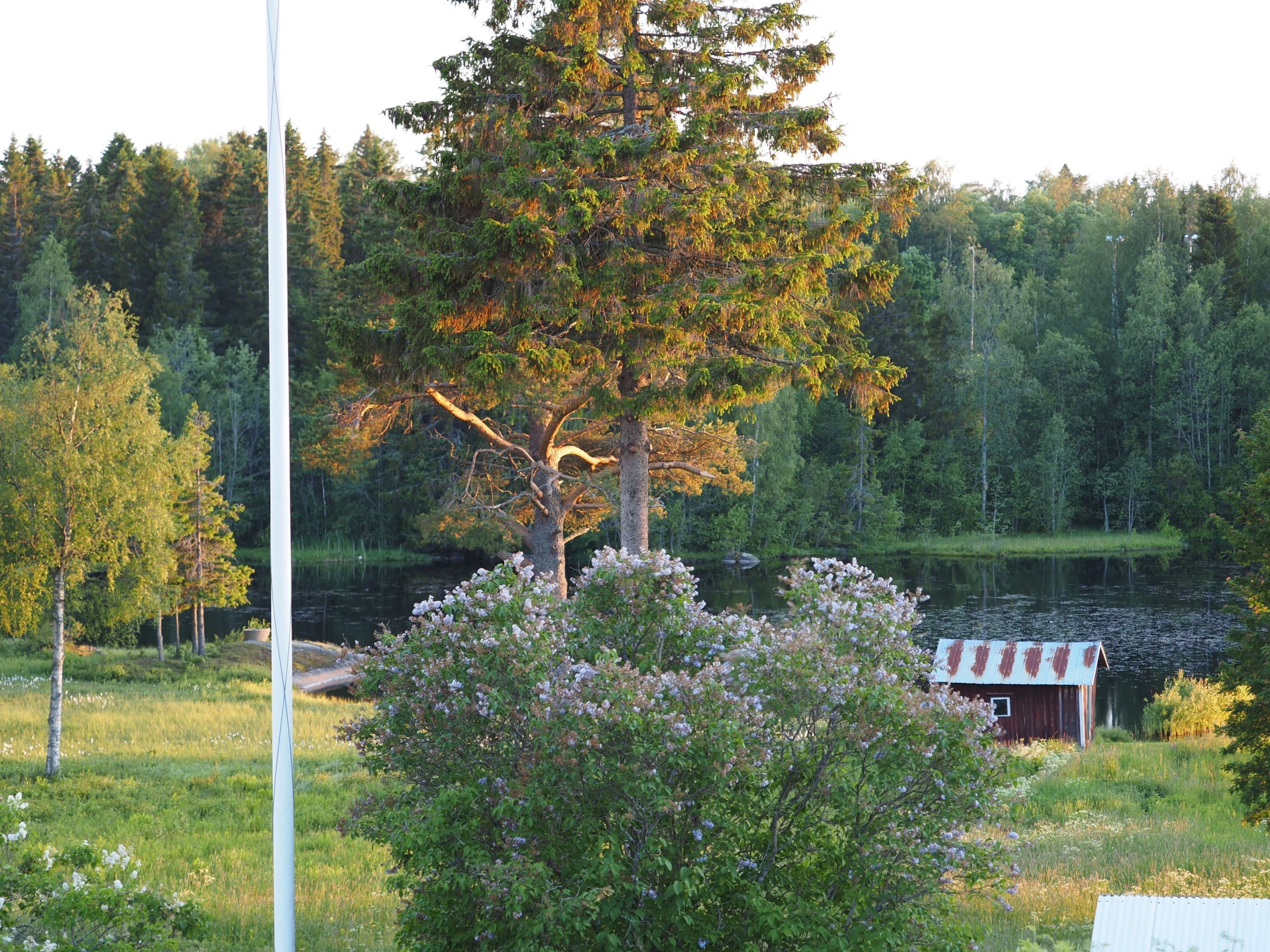 Säljarens bild
