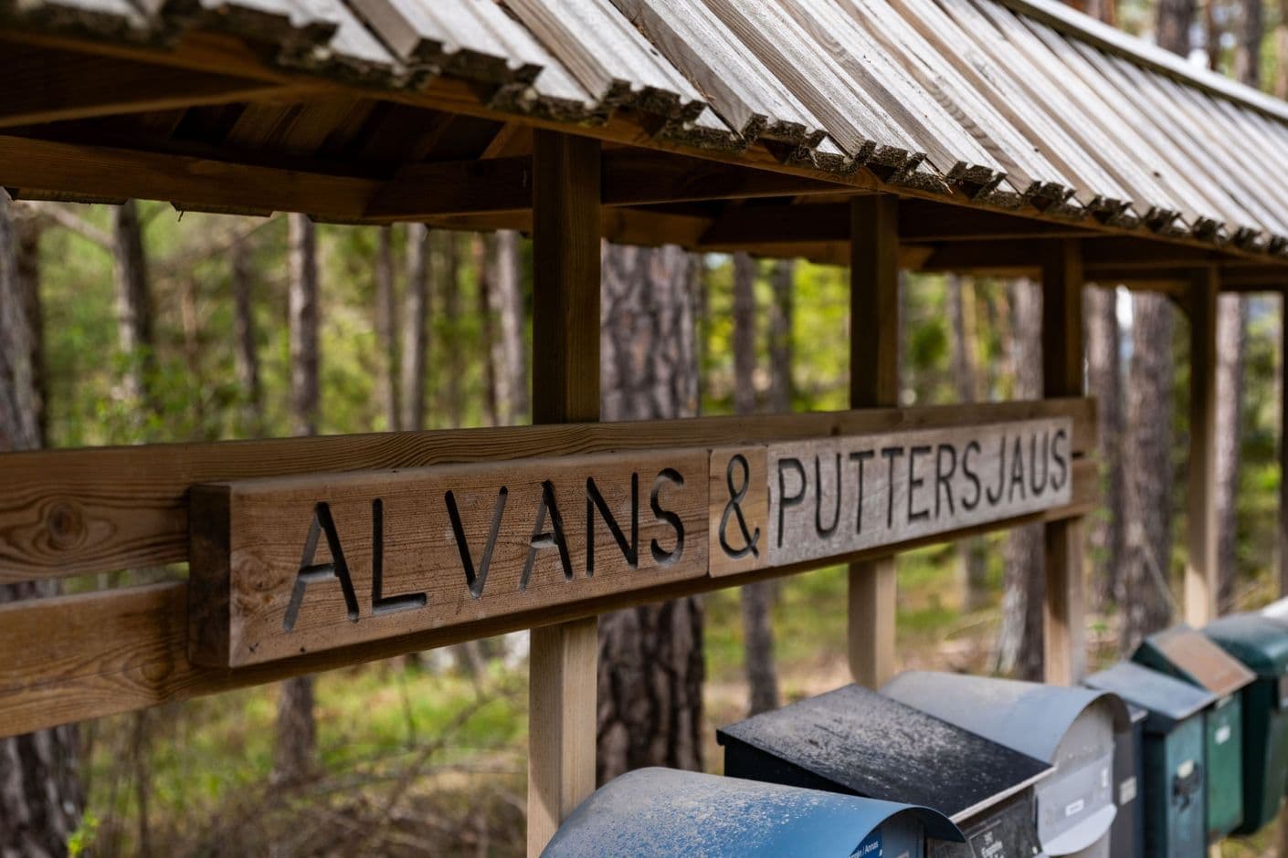 Rute Puttersjaus