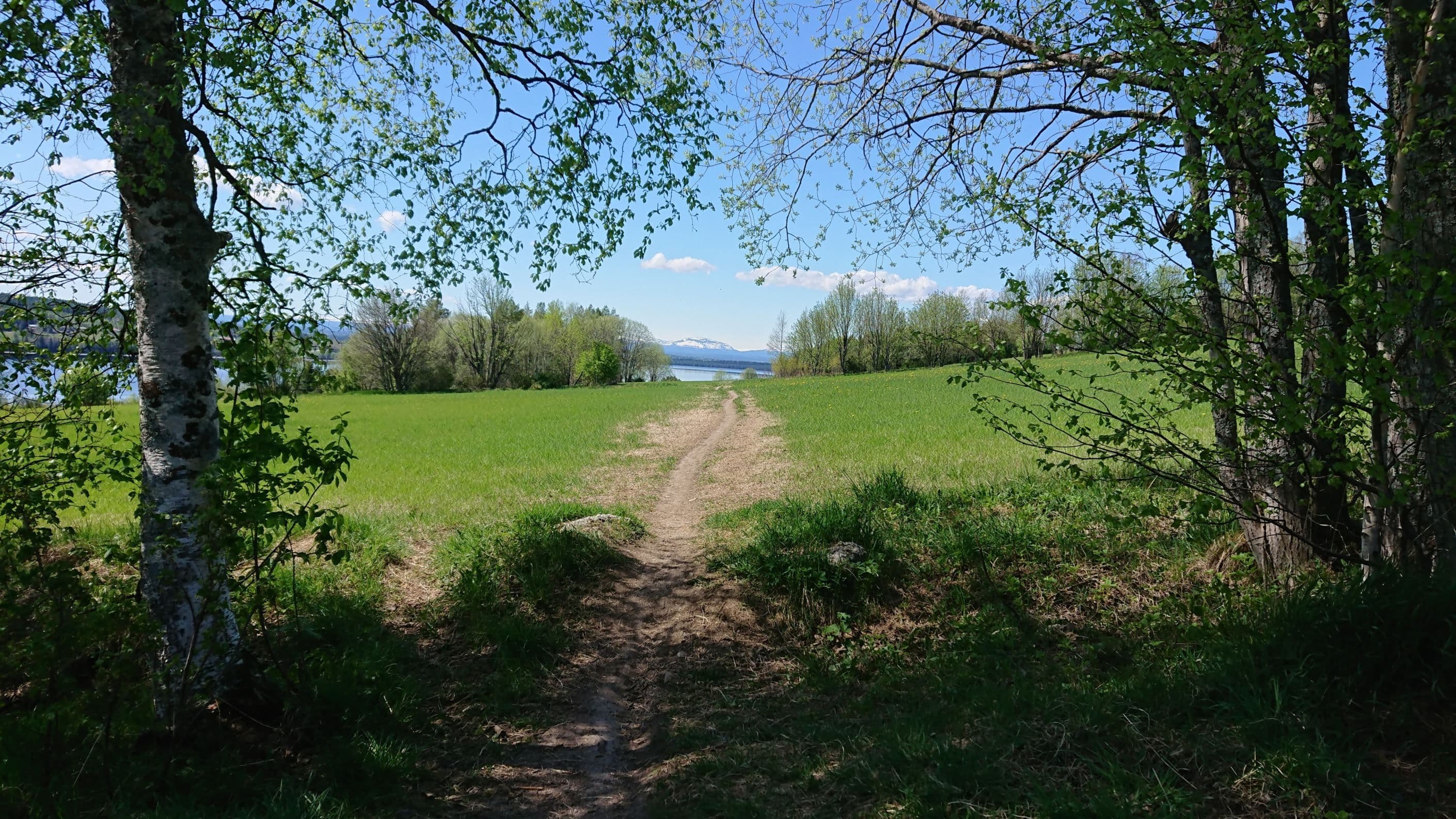Områdesbild