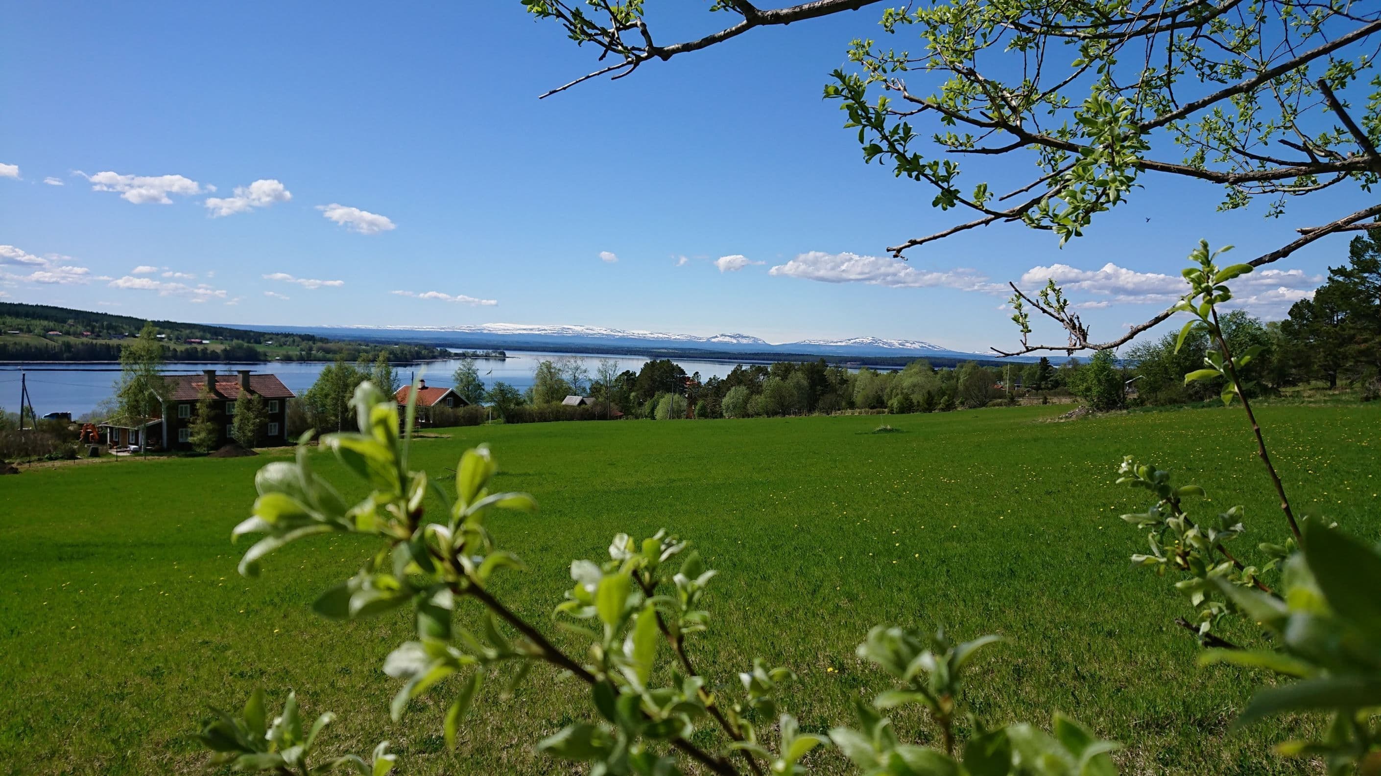 Områdesbild