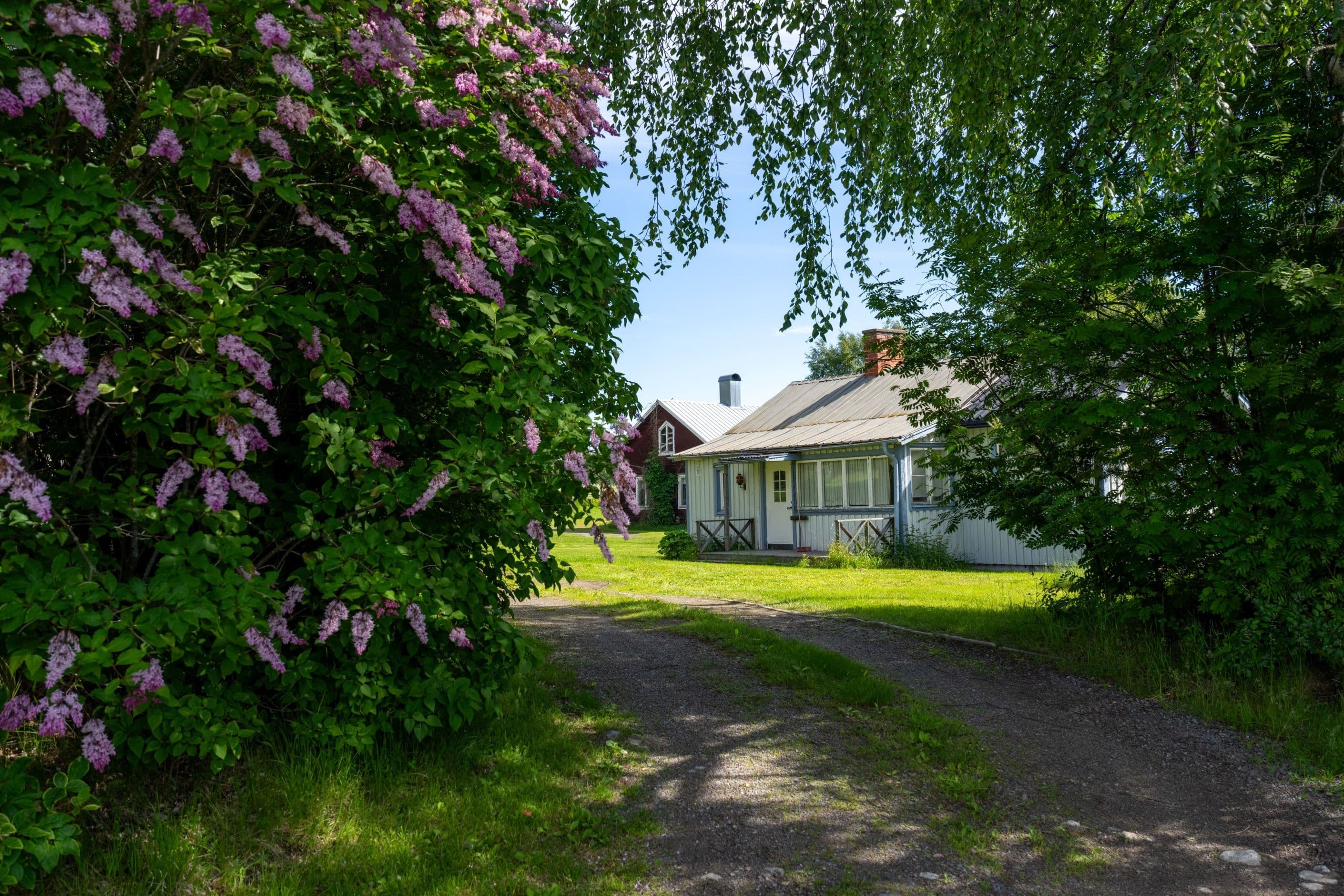 Områdesbild