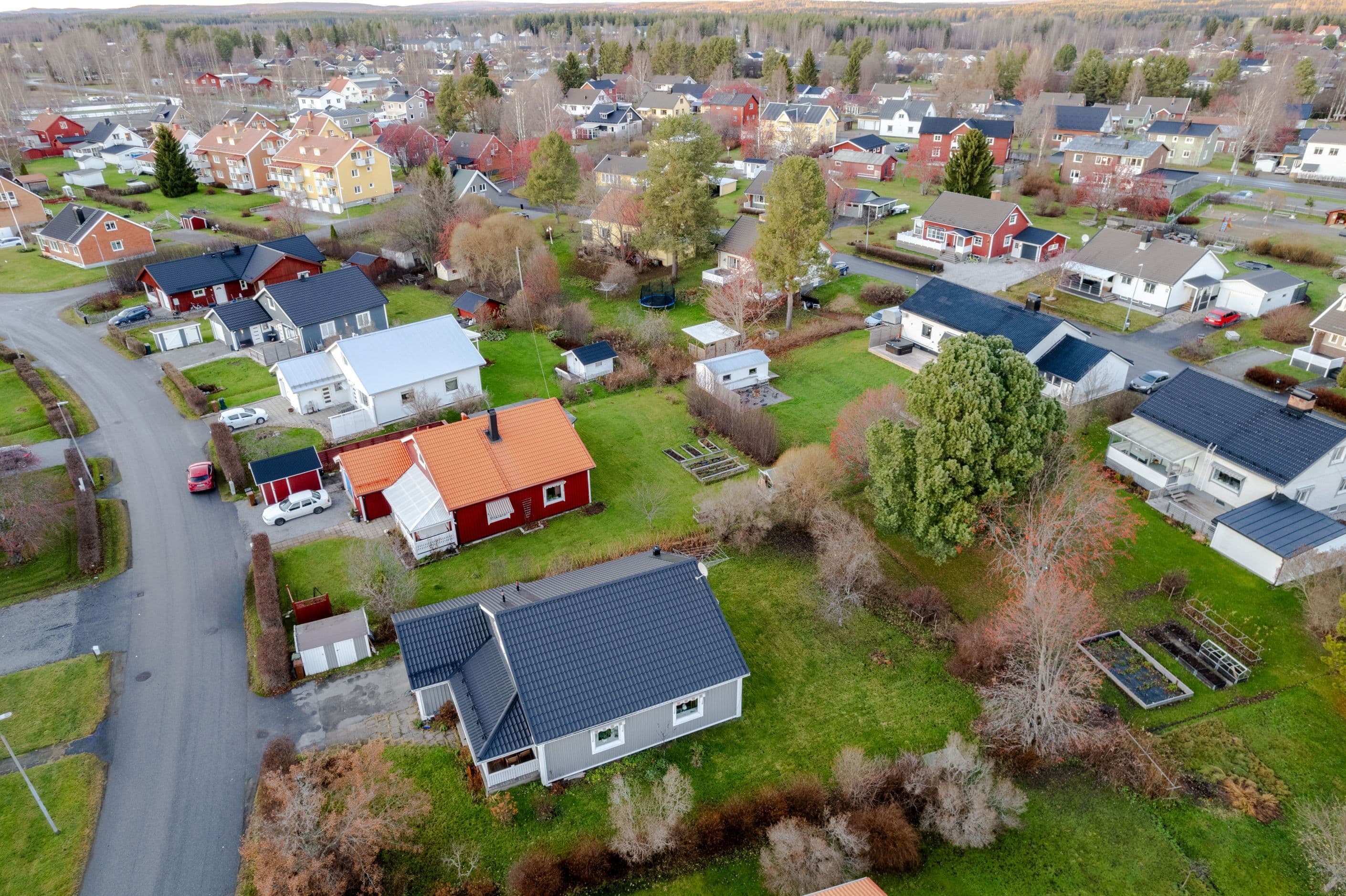 Exteriör
