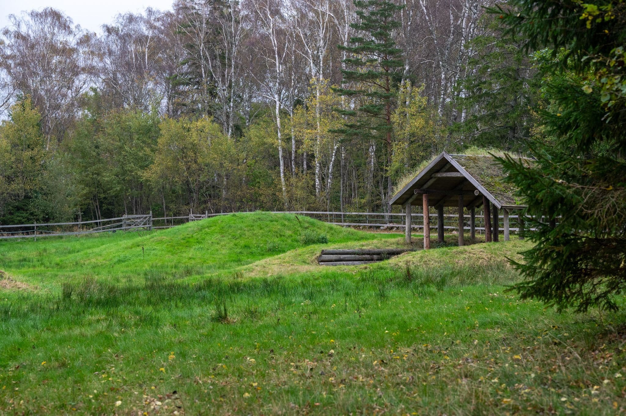 Terrängbana