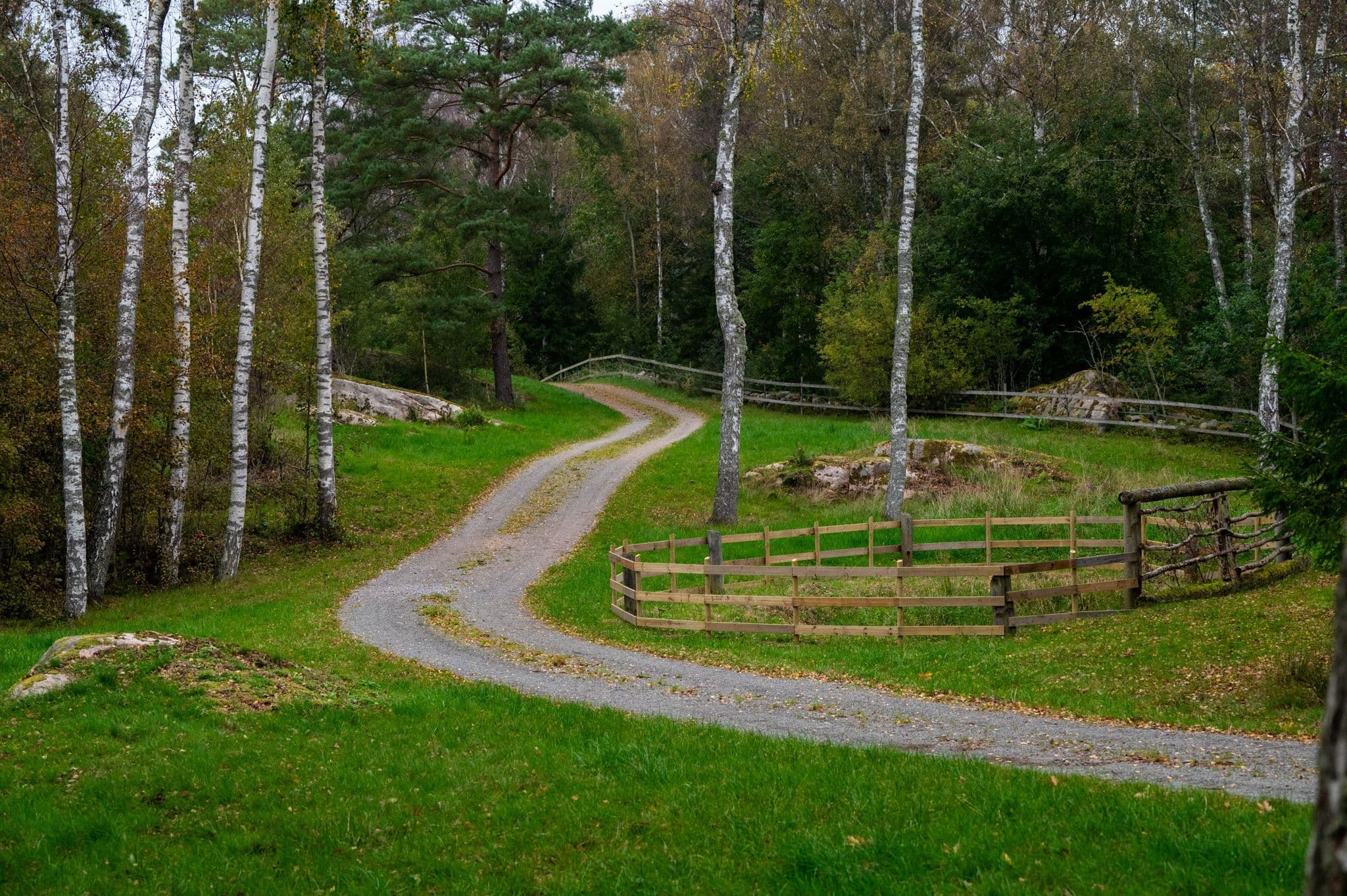 Terrängbana