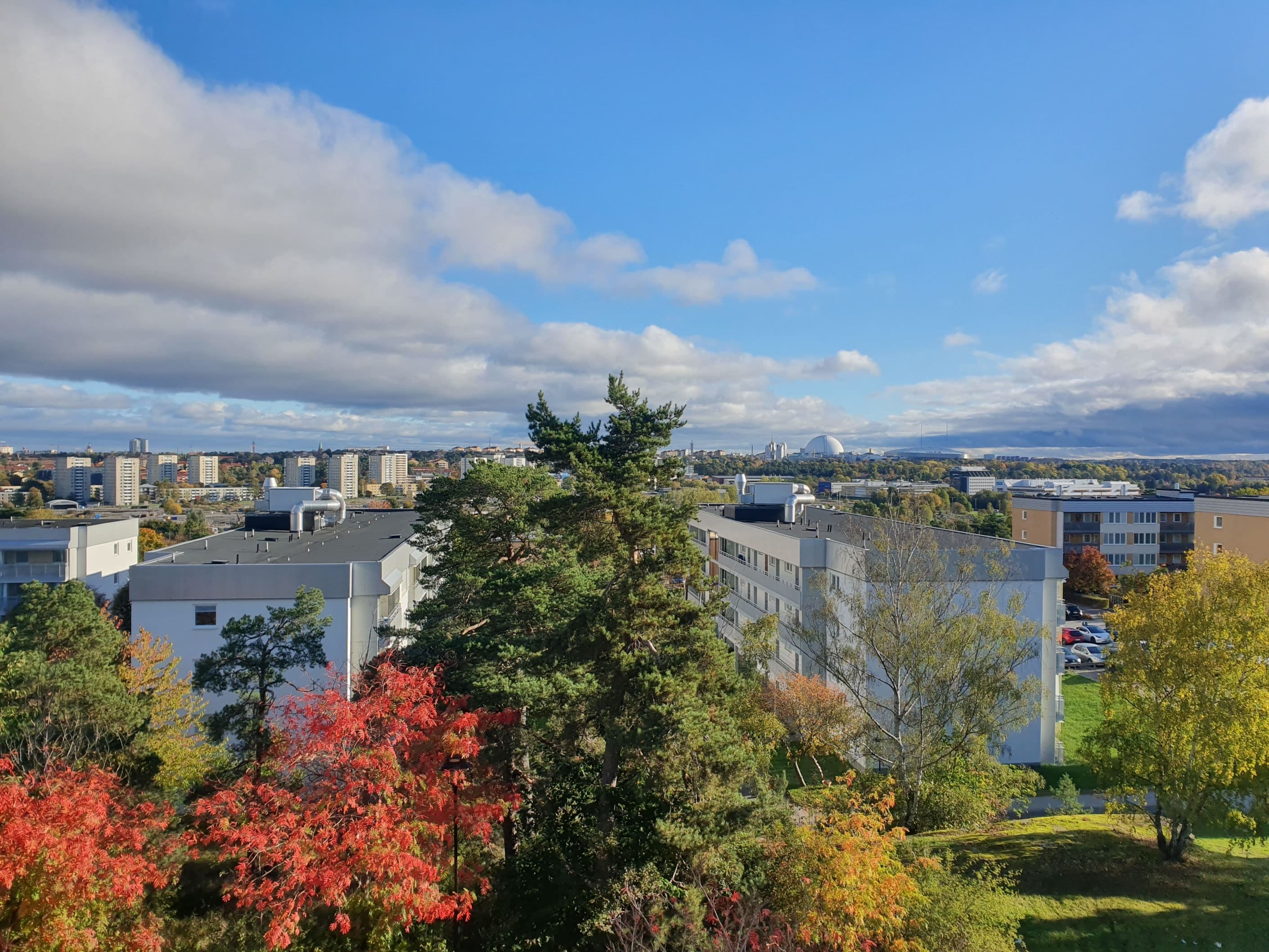 Säljarens bild