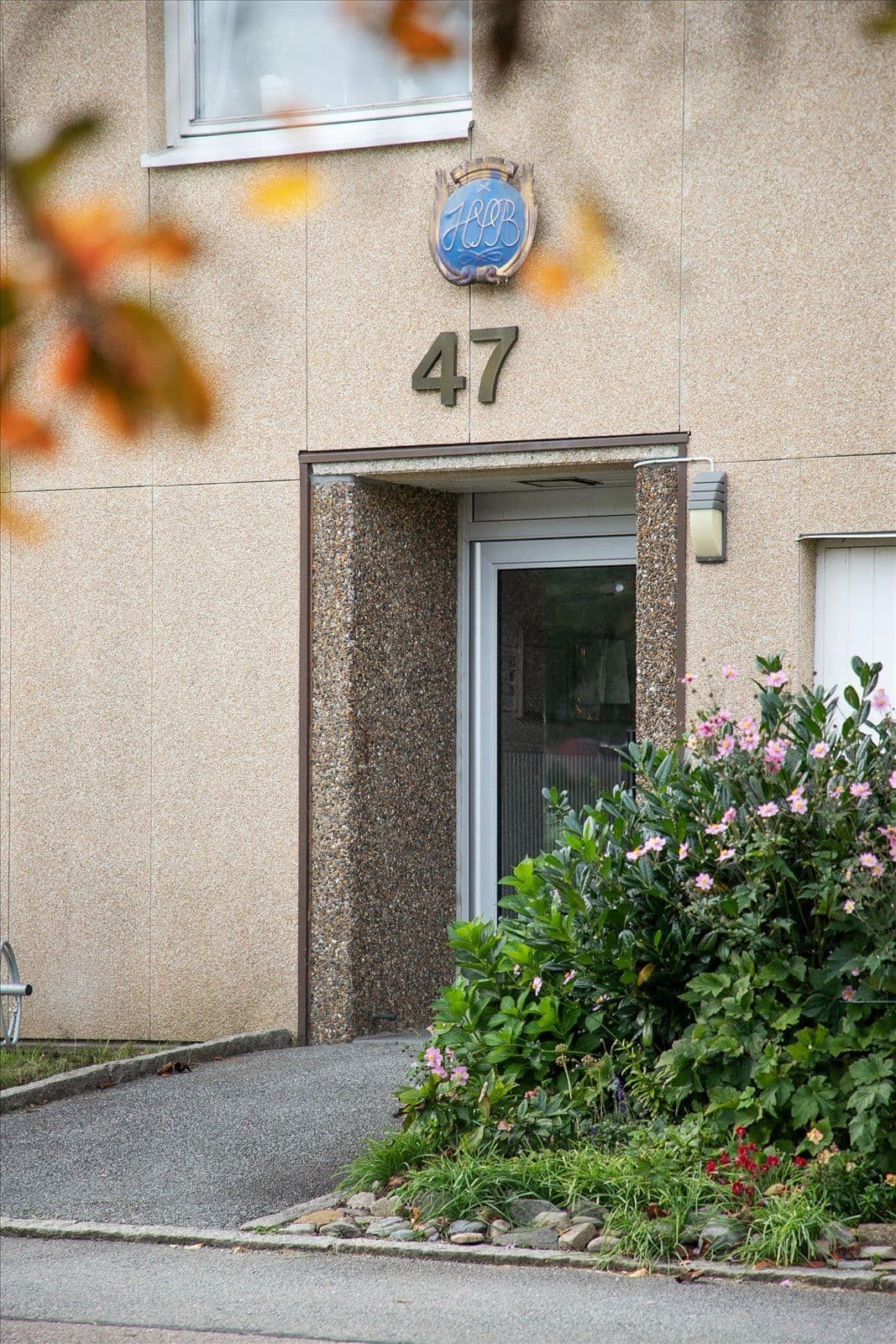 Exteriör