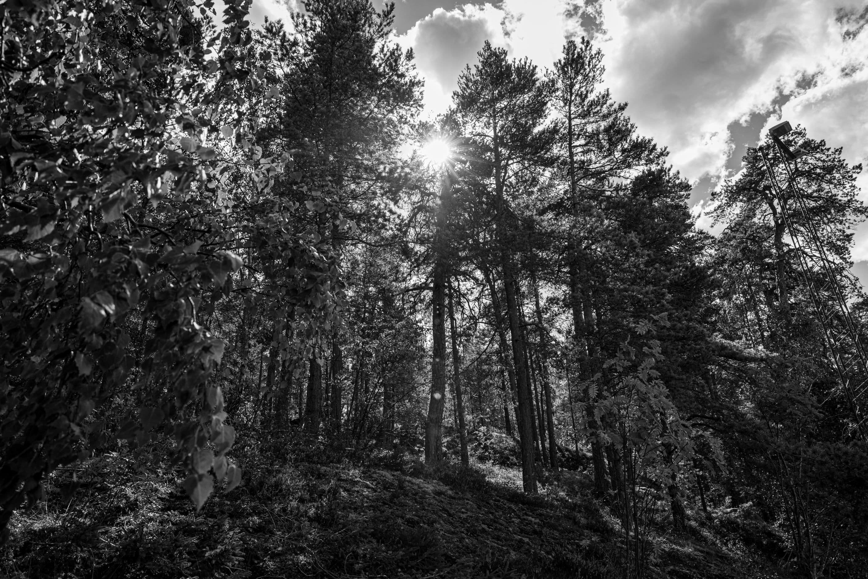 Vackra naturreservat