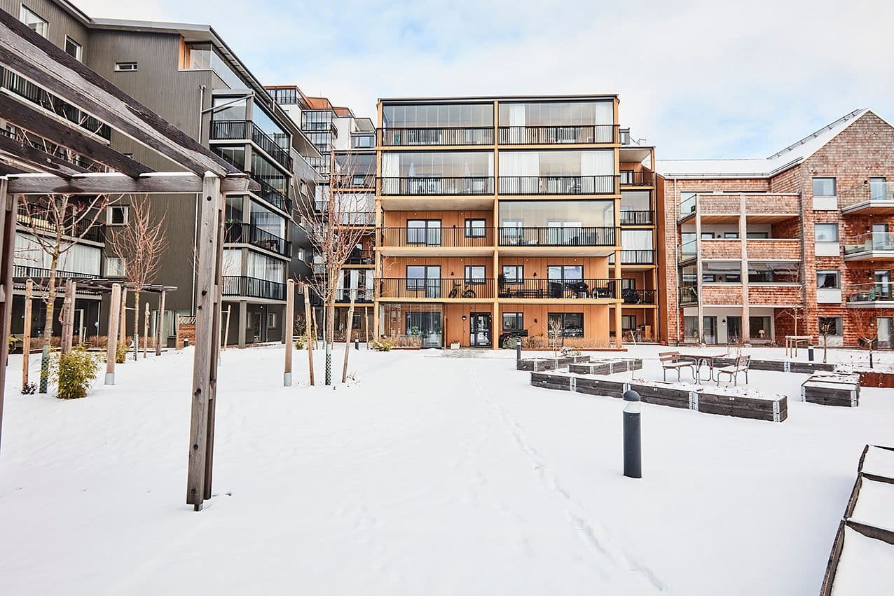 Innergårdsmiljön
