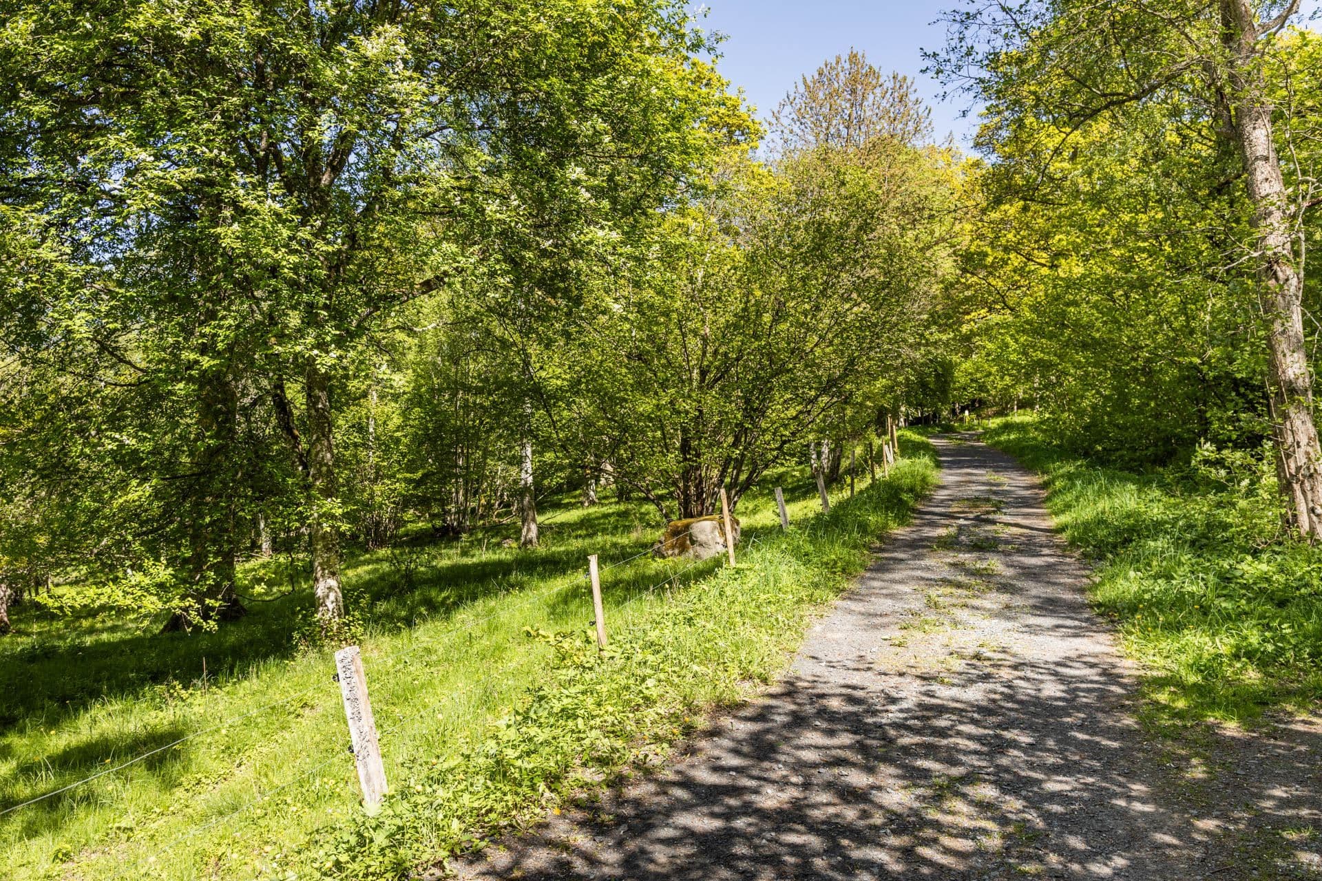 Naturreservat/Bondberget på nära avstånd