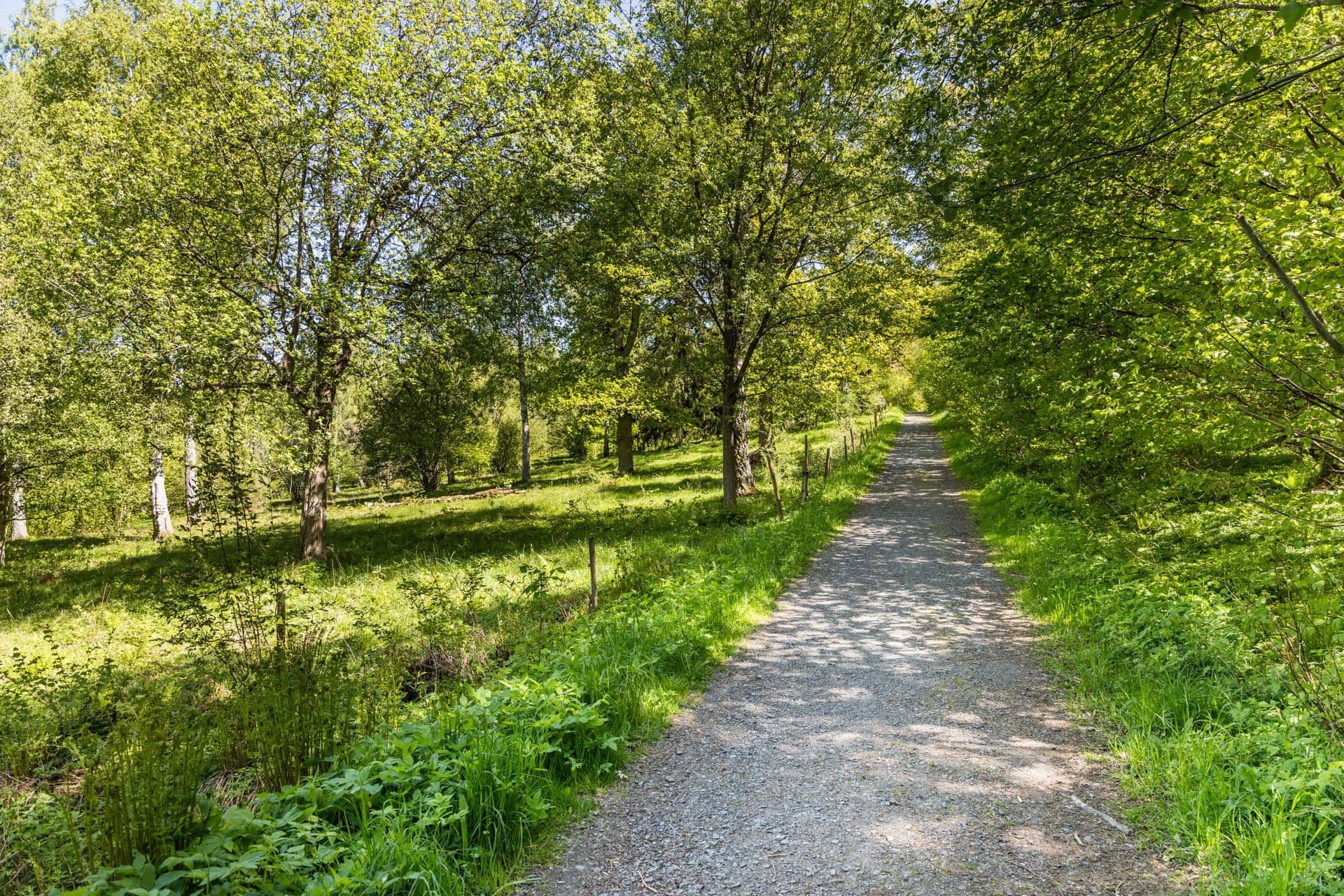 Naturreservat/Bondberget på nära avstånd