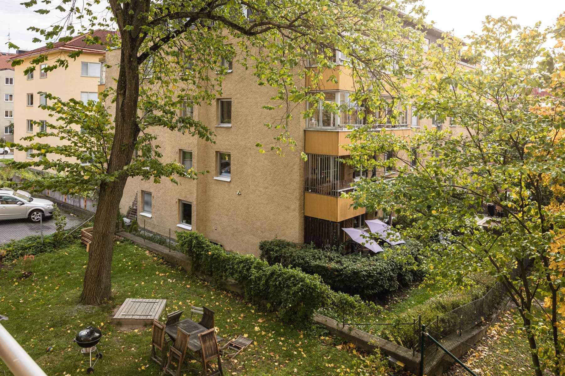 Exteriör
