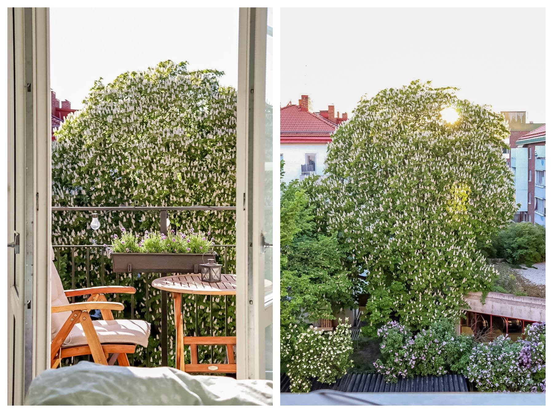 Grönskande vy från balkongen (säljarnas bild)