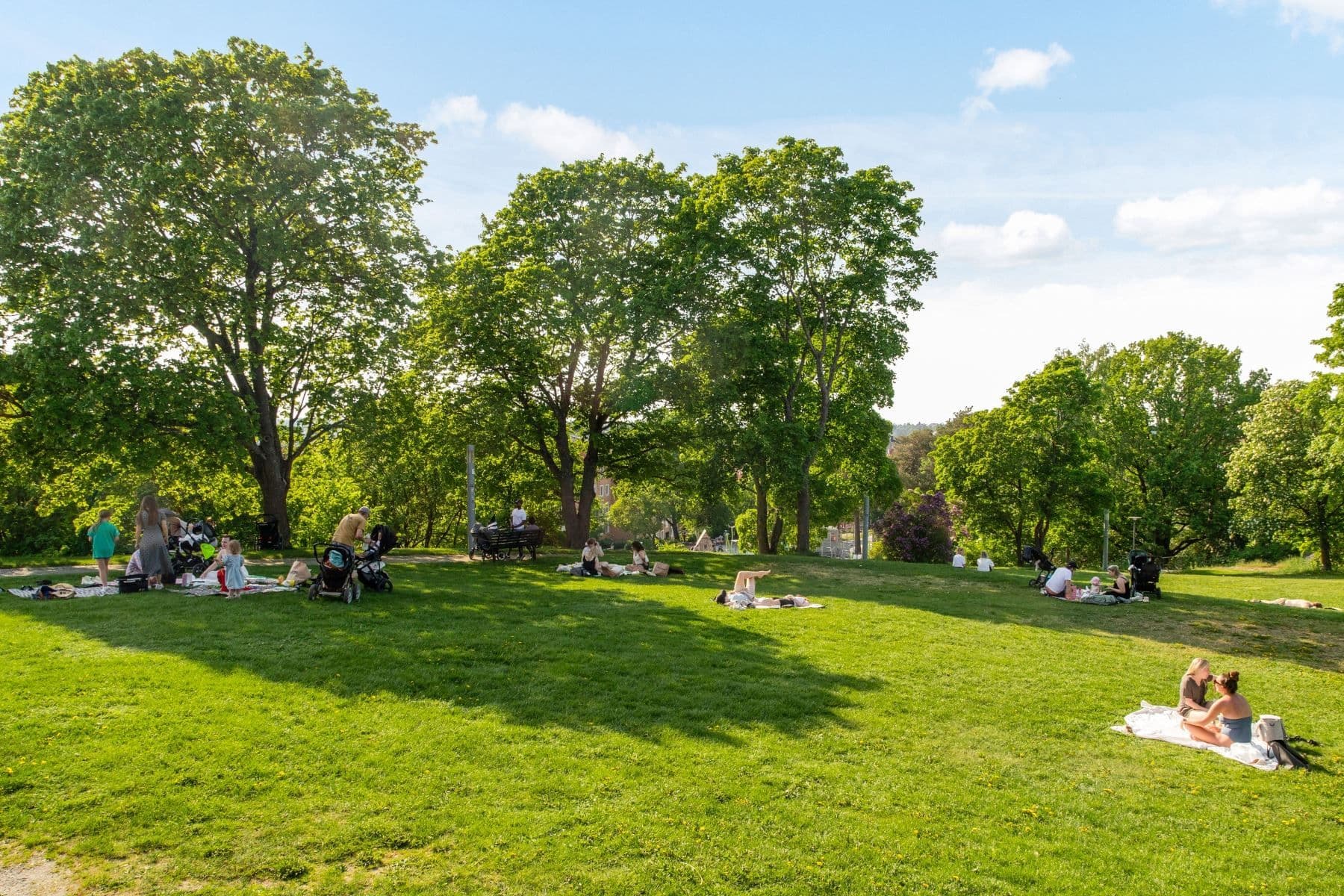 Tornparken
