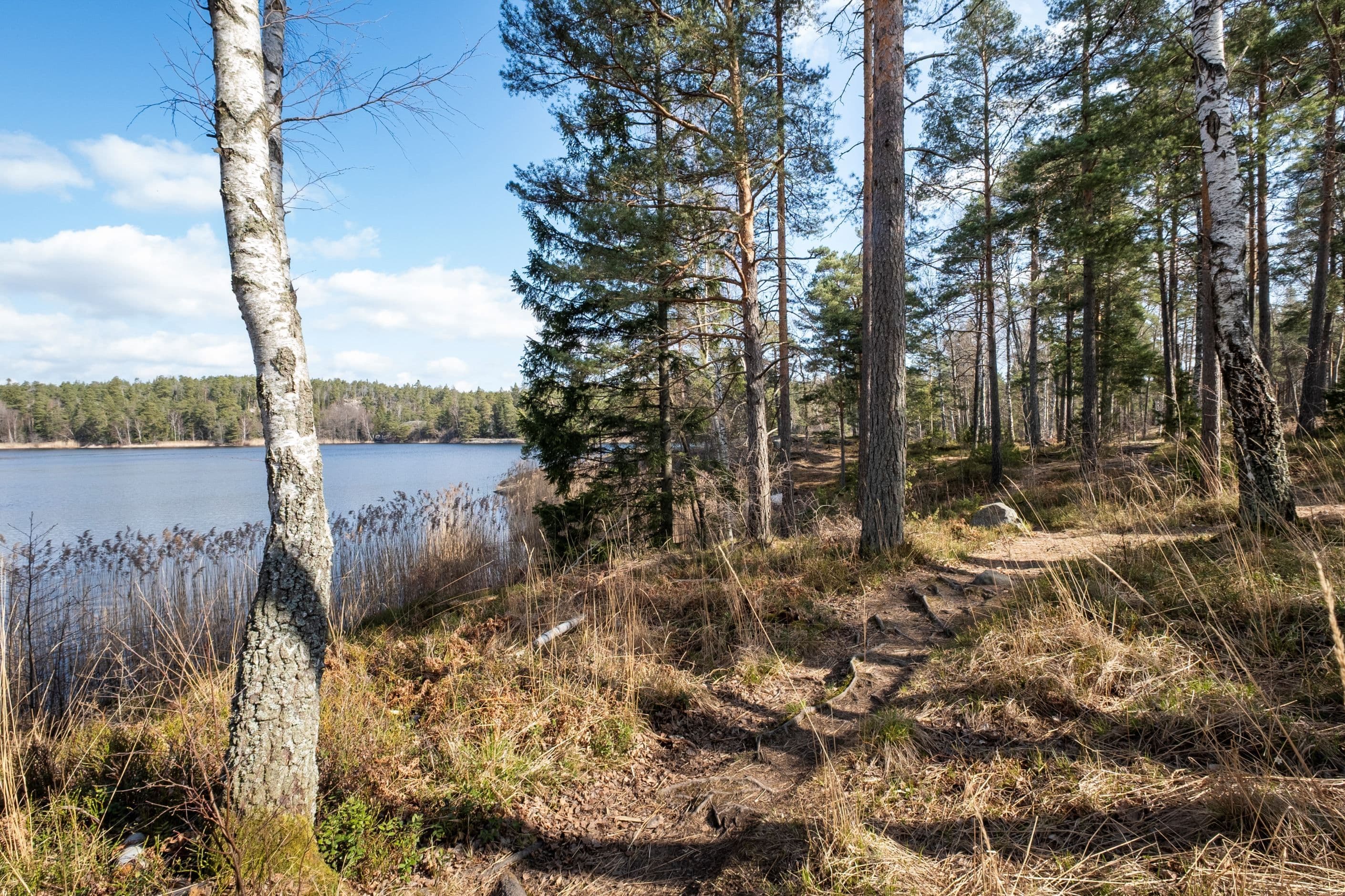 Områdesbild