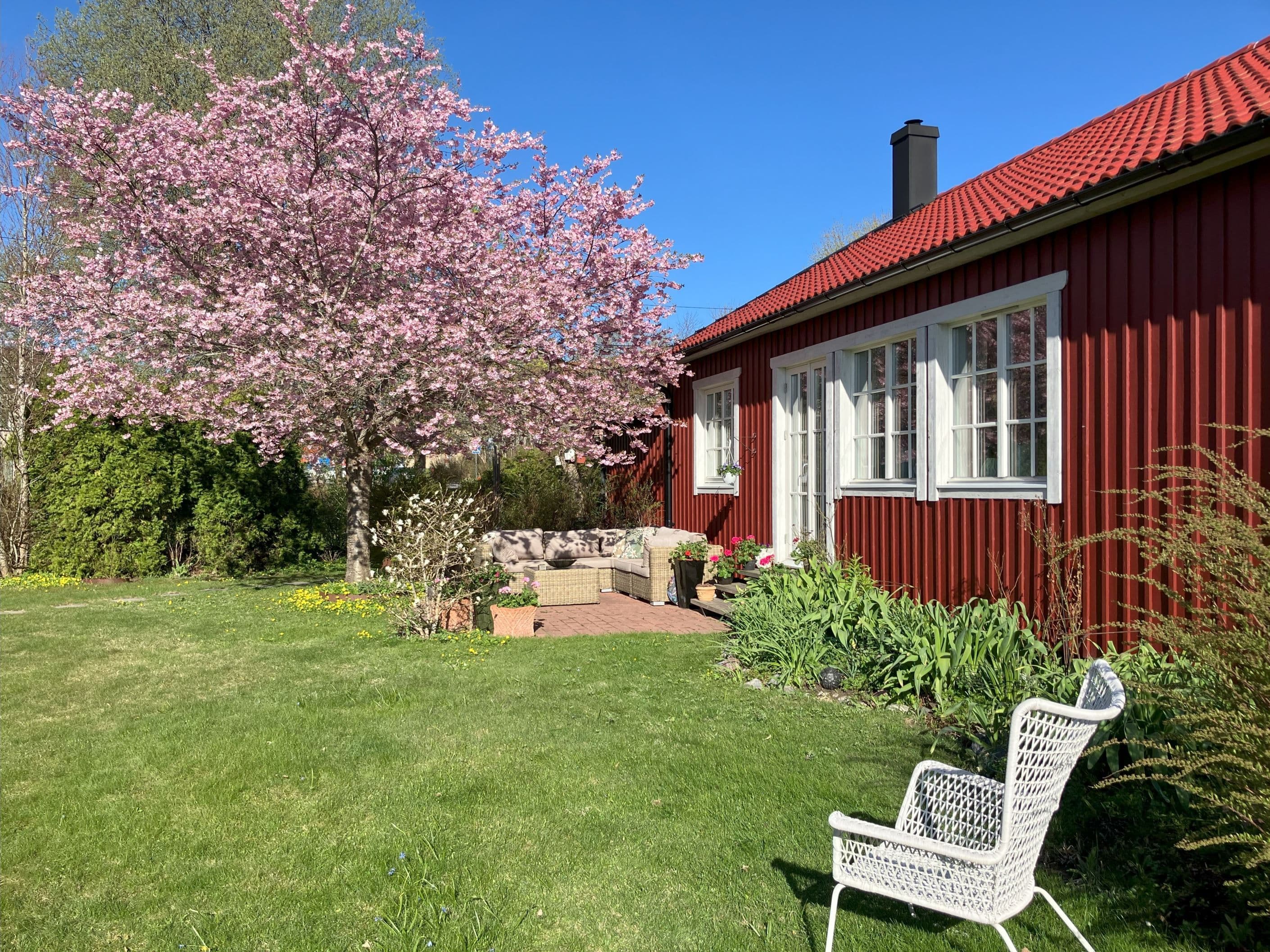 Säljarens bild