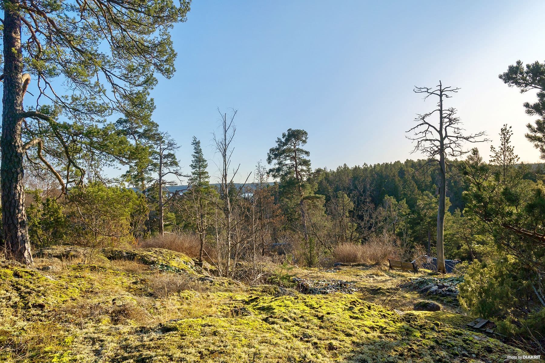 Övre del av tomten med viss sjöutsikt