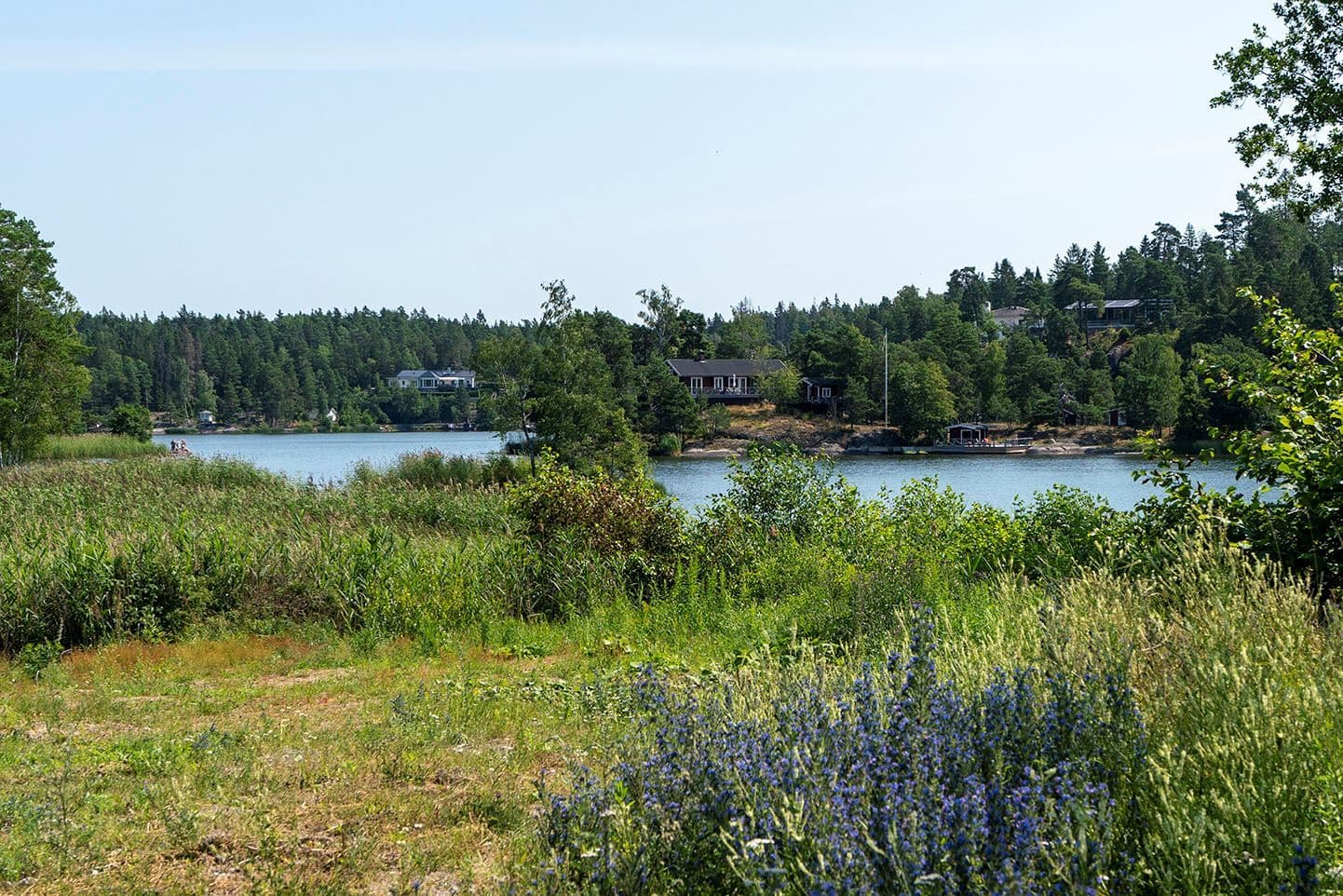Långsjön