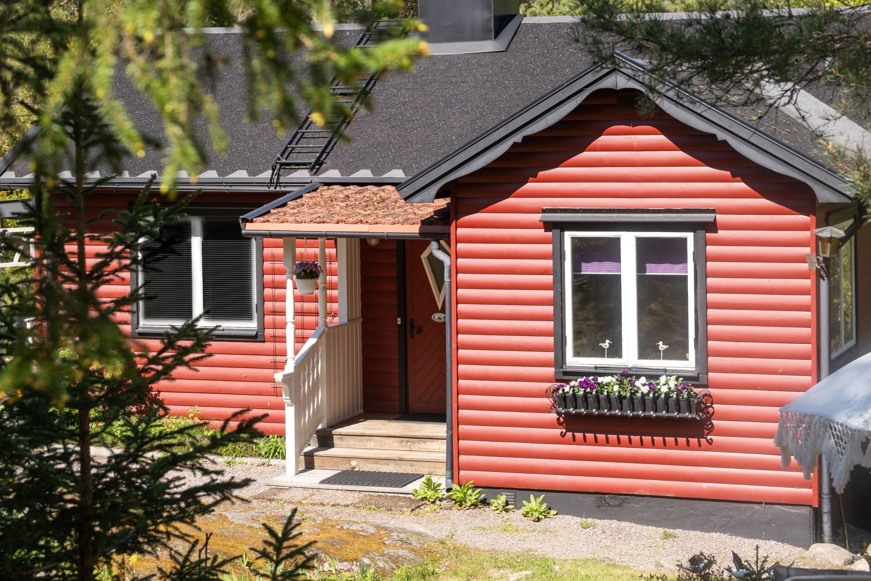 Exteriör