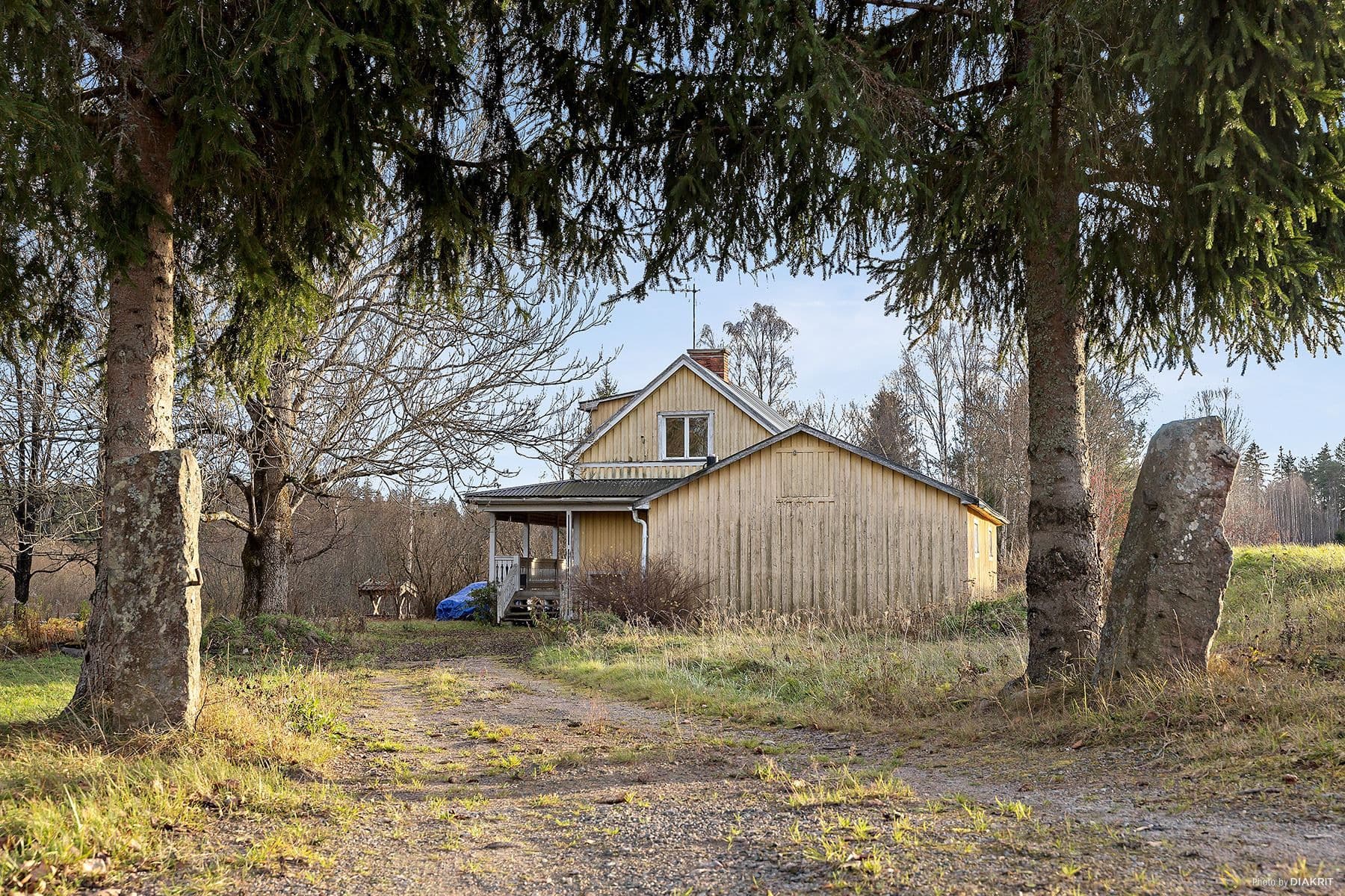 Exteriör