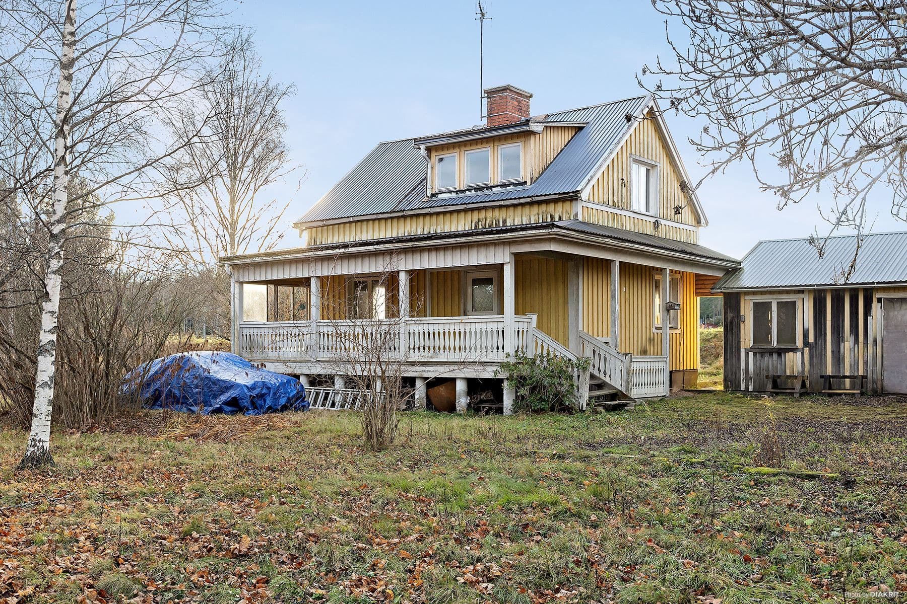 Exteriör