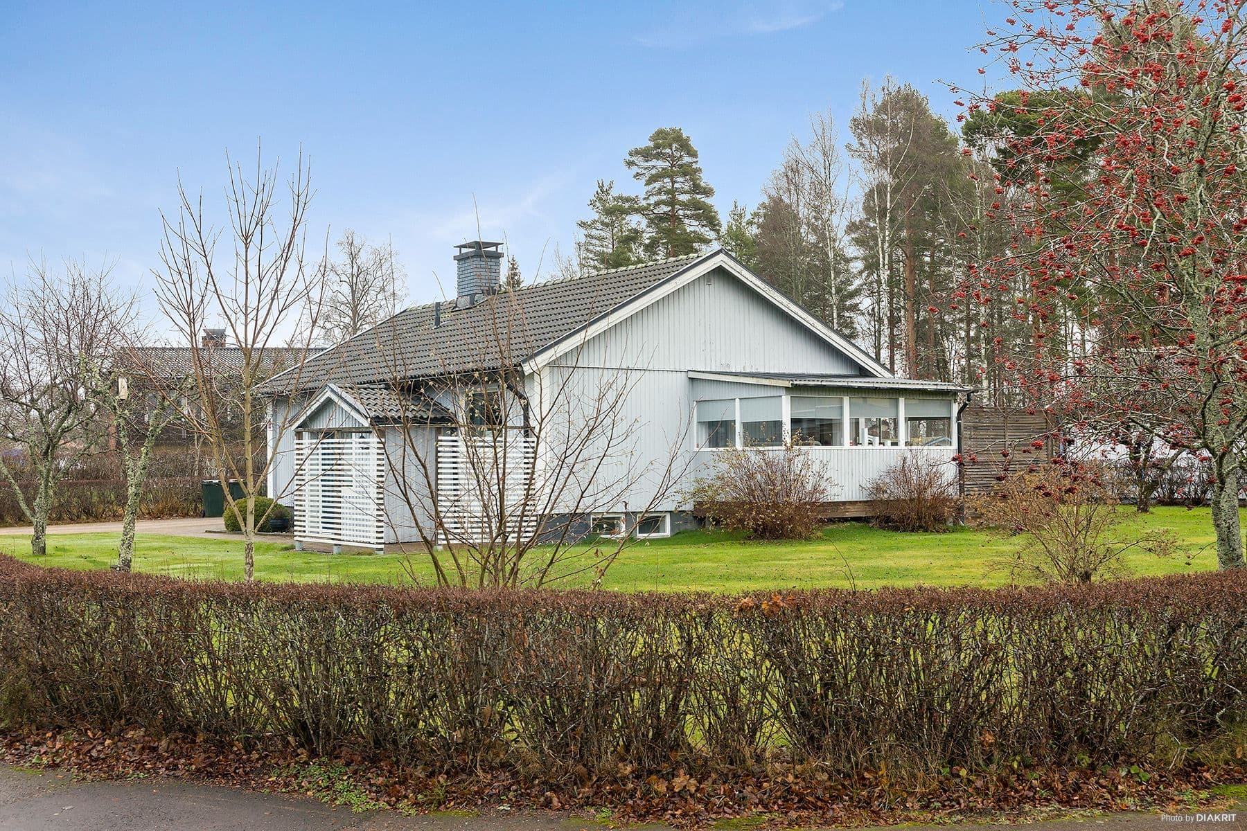 Exteriör