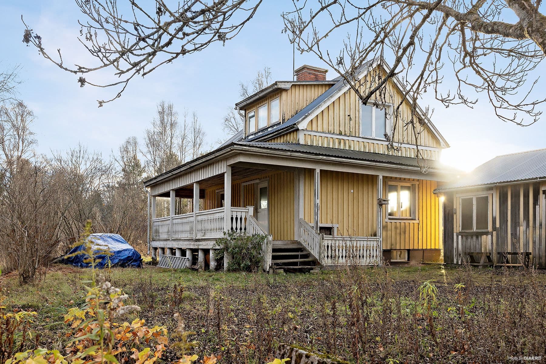 Exteriör