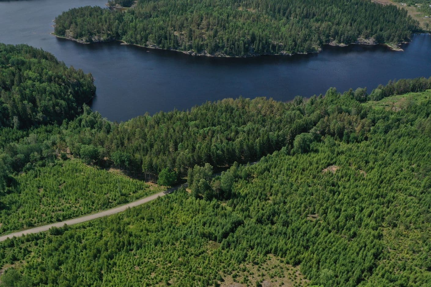 Skogsmark, Ällien 1:6