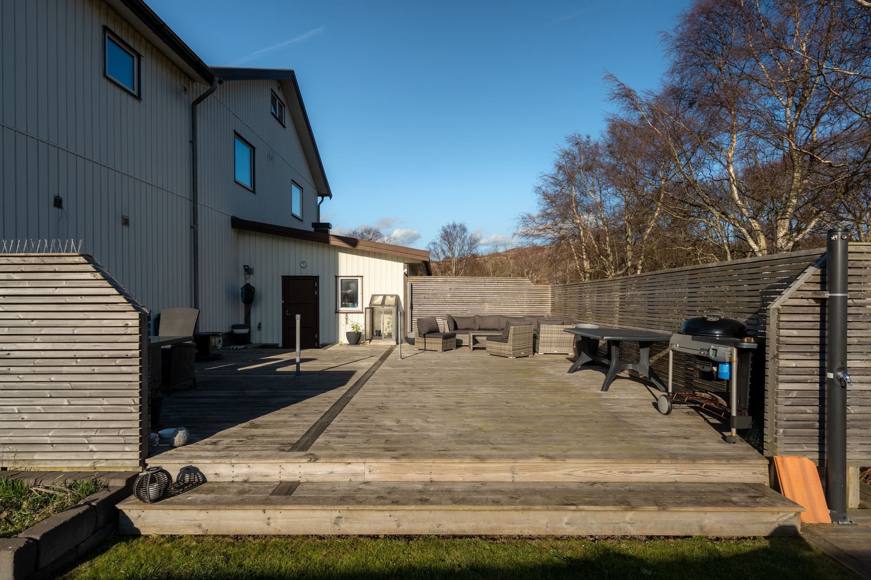 Stor & solig trall