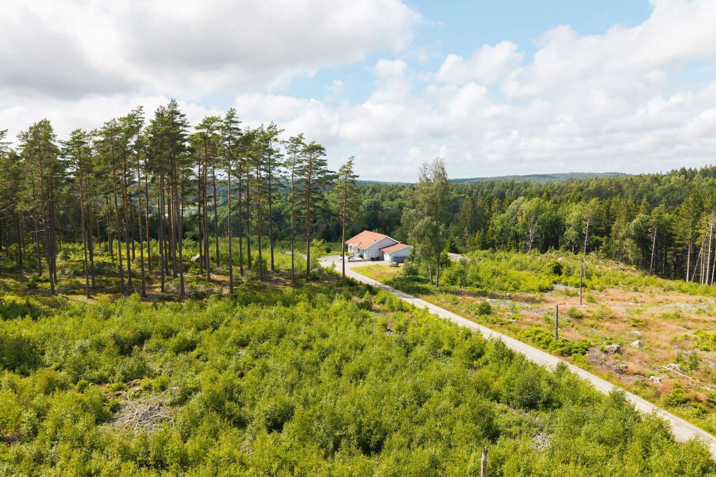 Blomsholm Foss 4