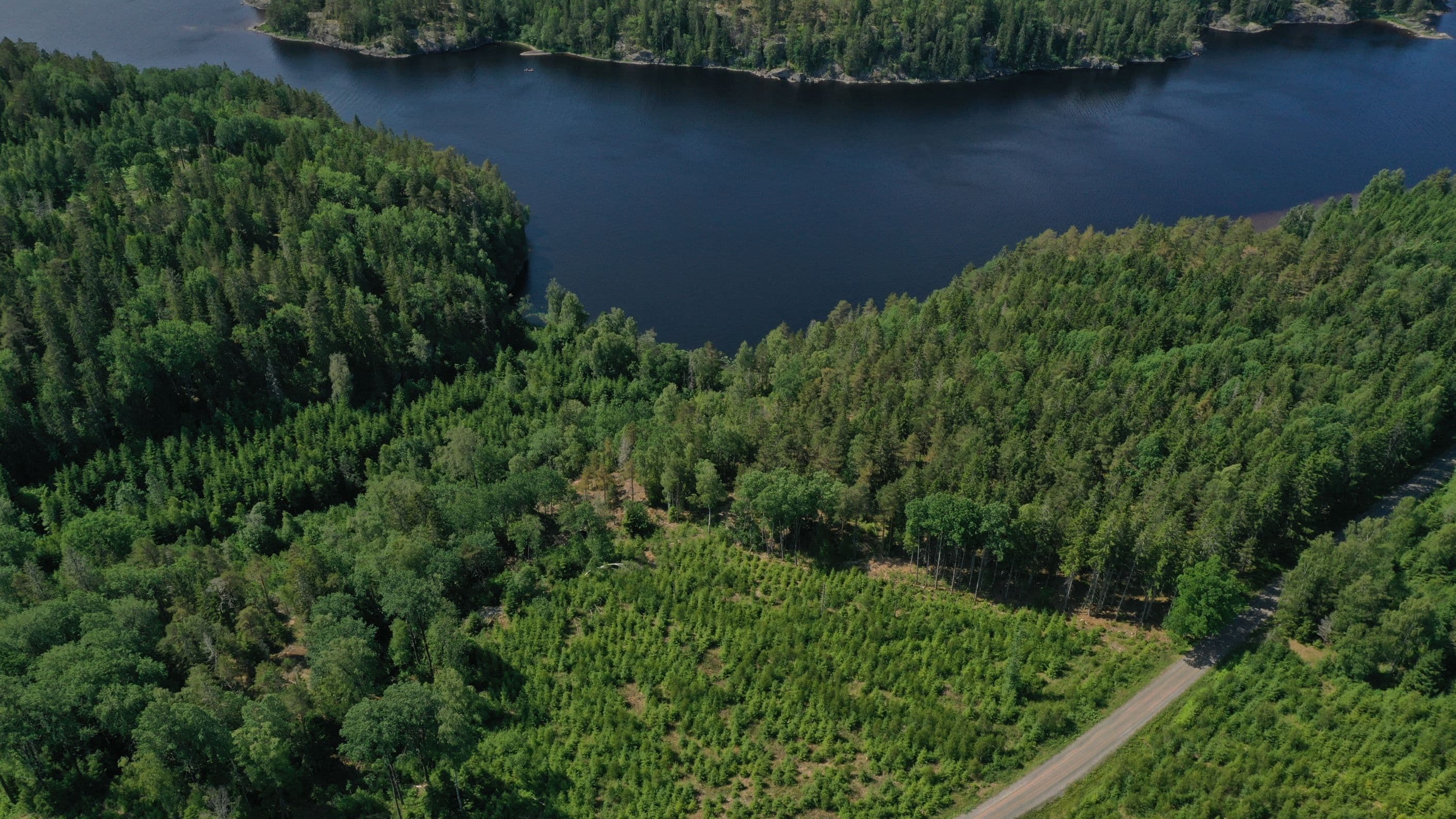 Sydvästra delen av fastigheten
