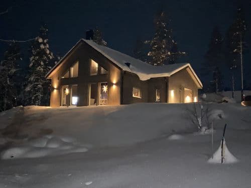 Säljarens foto