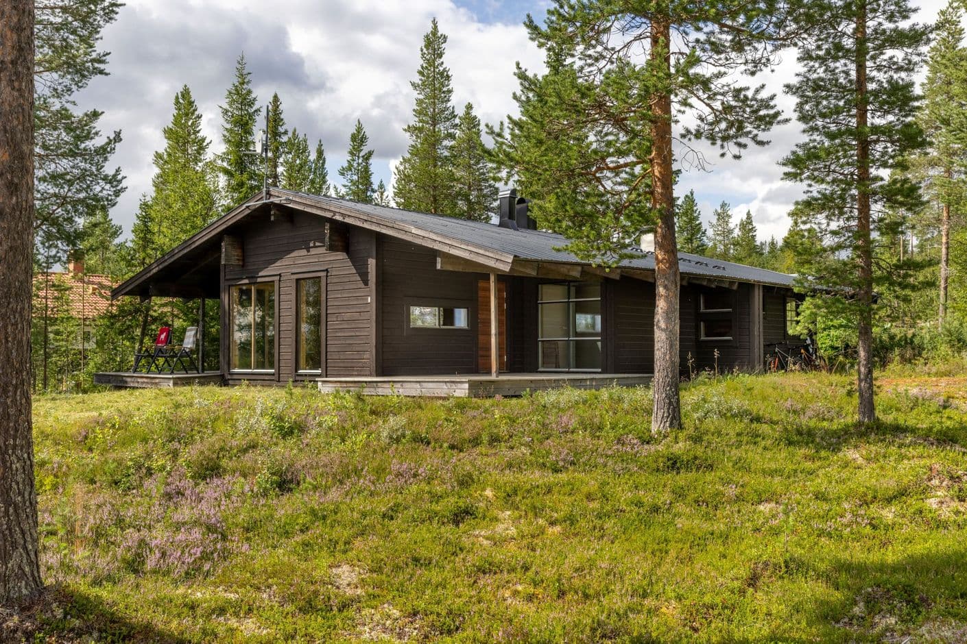 Uppvallen Björnen 5