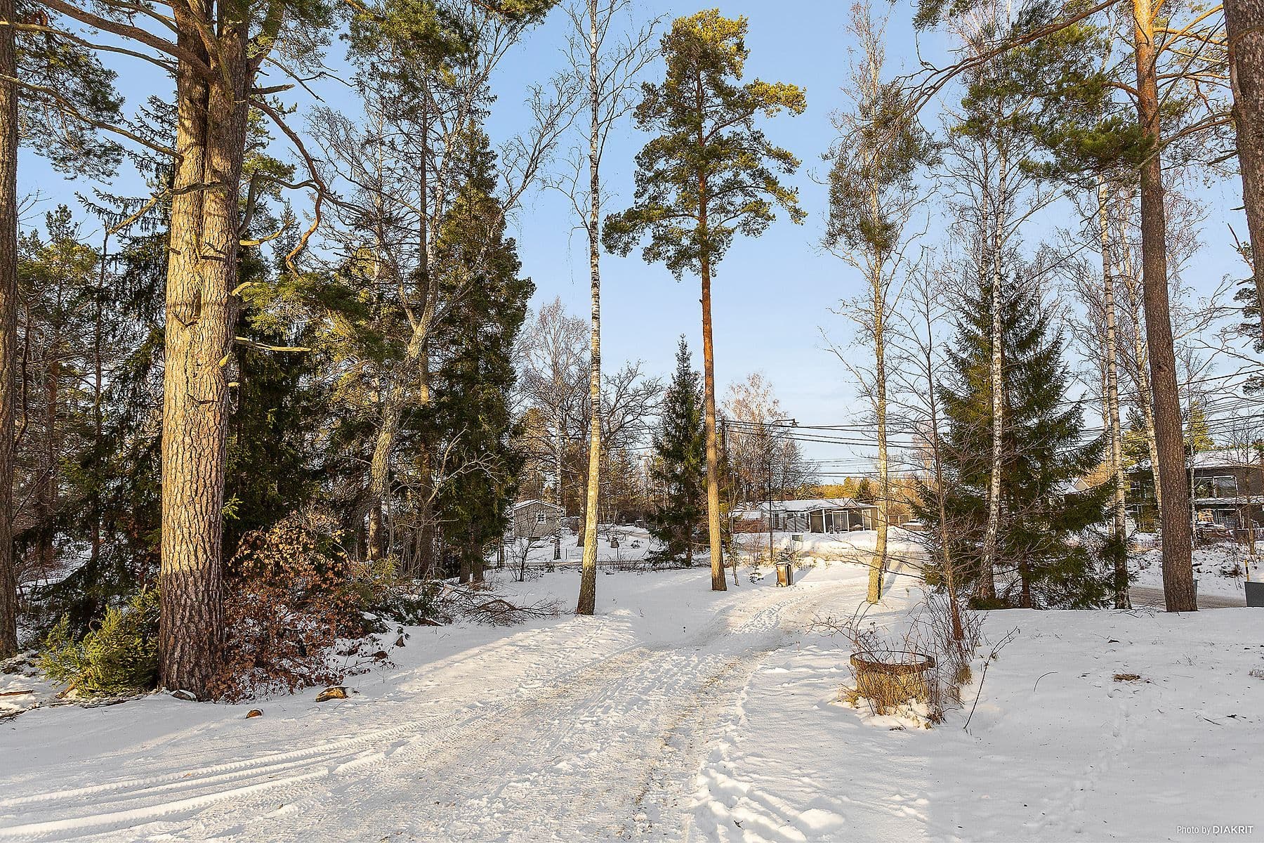 Varierad tomt med både skog och öppna ytor.