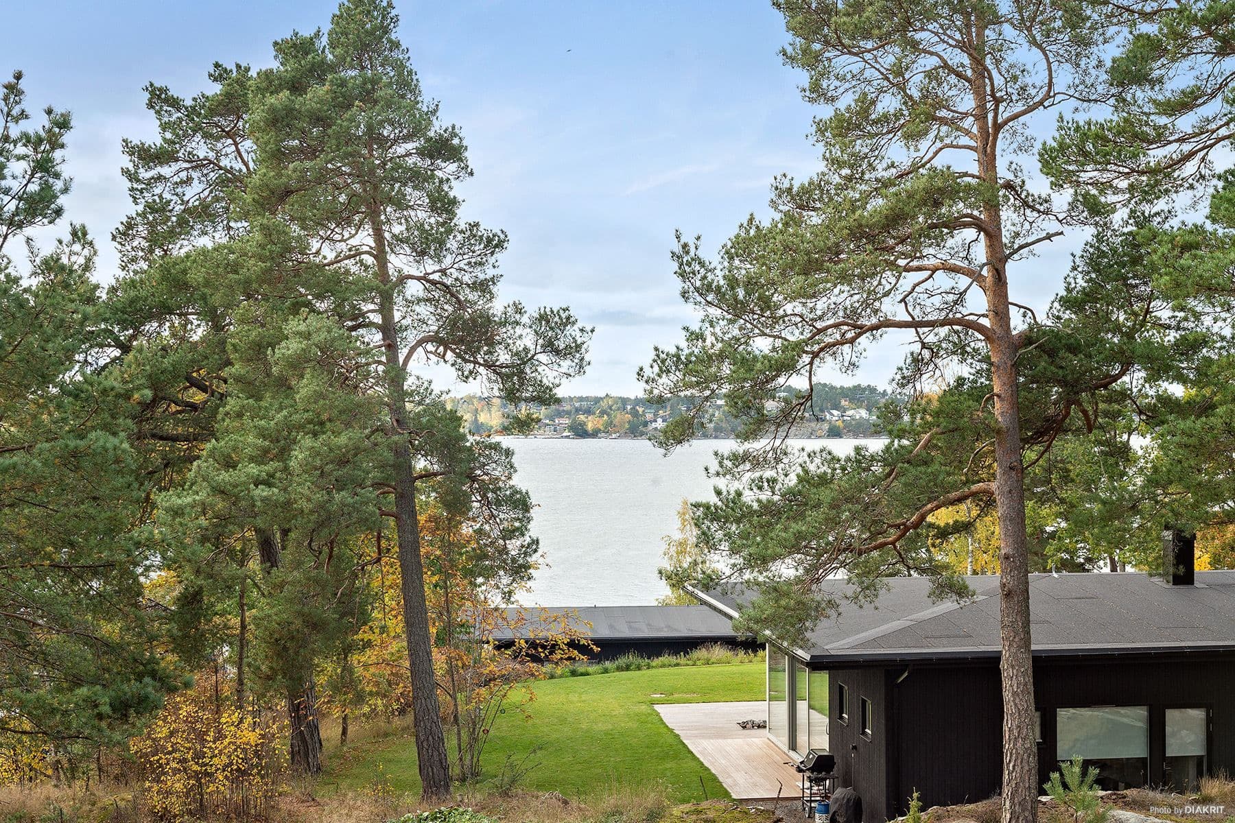 Utsikt från mitten av tomten