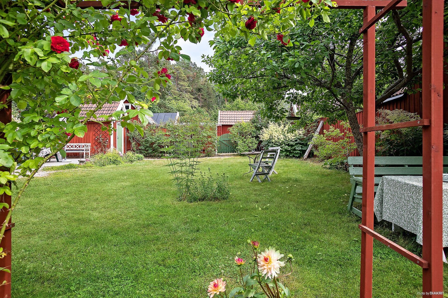 Exteriör