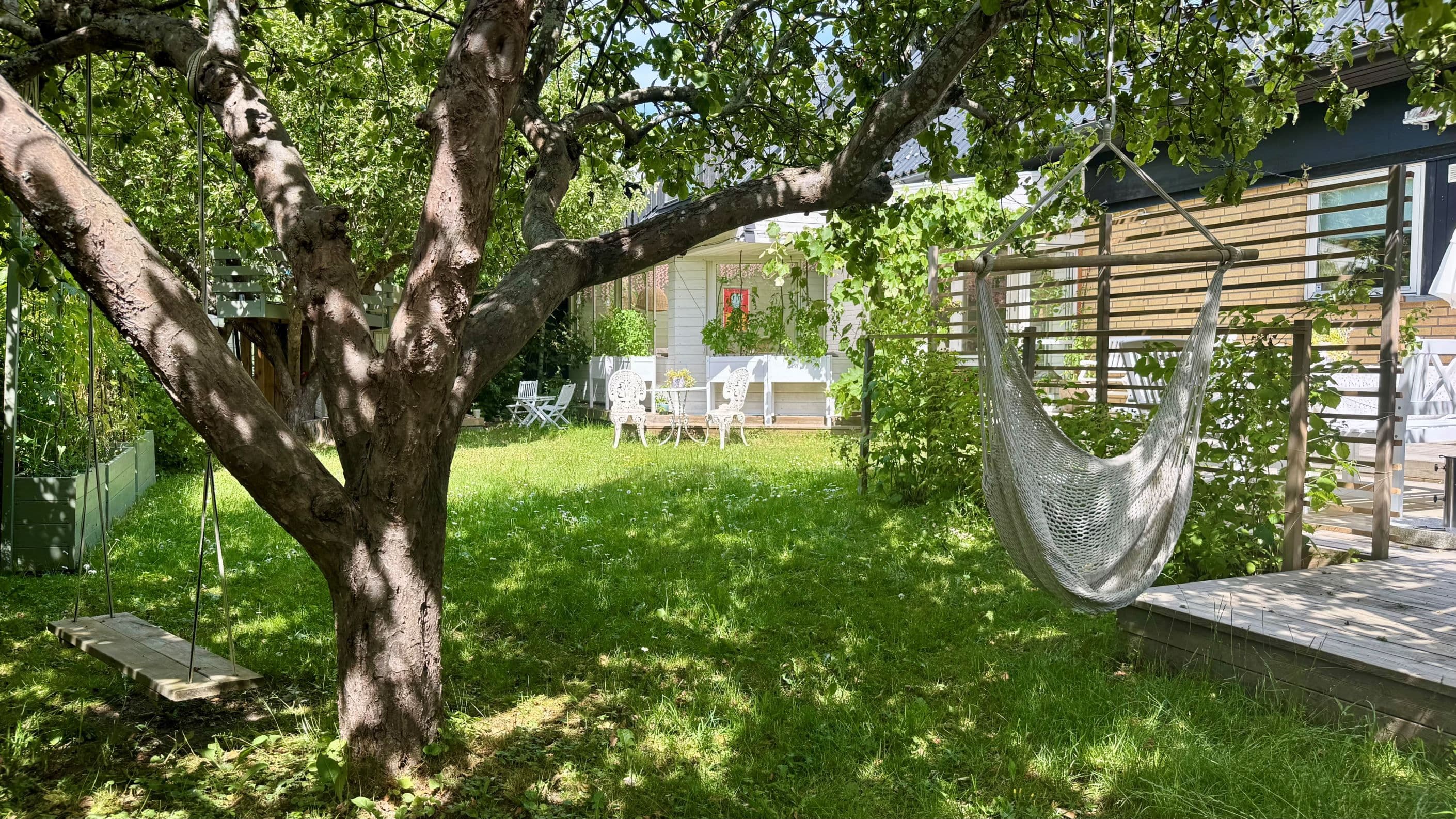 Trädgård