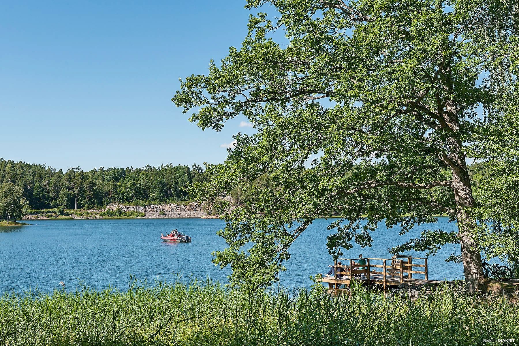 Samfällighetens brygga i fint kvällsolsläge