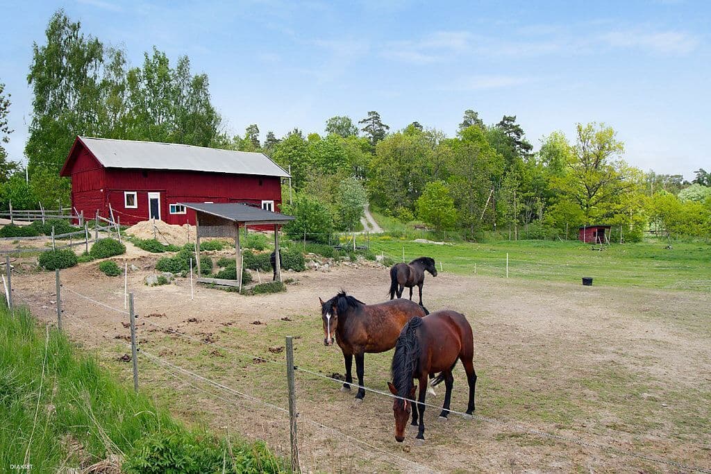 Områdesbild
