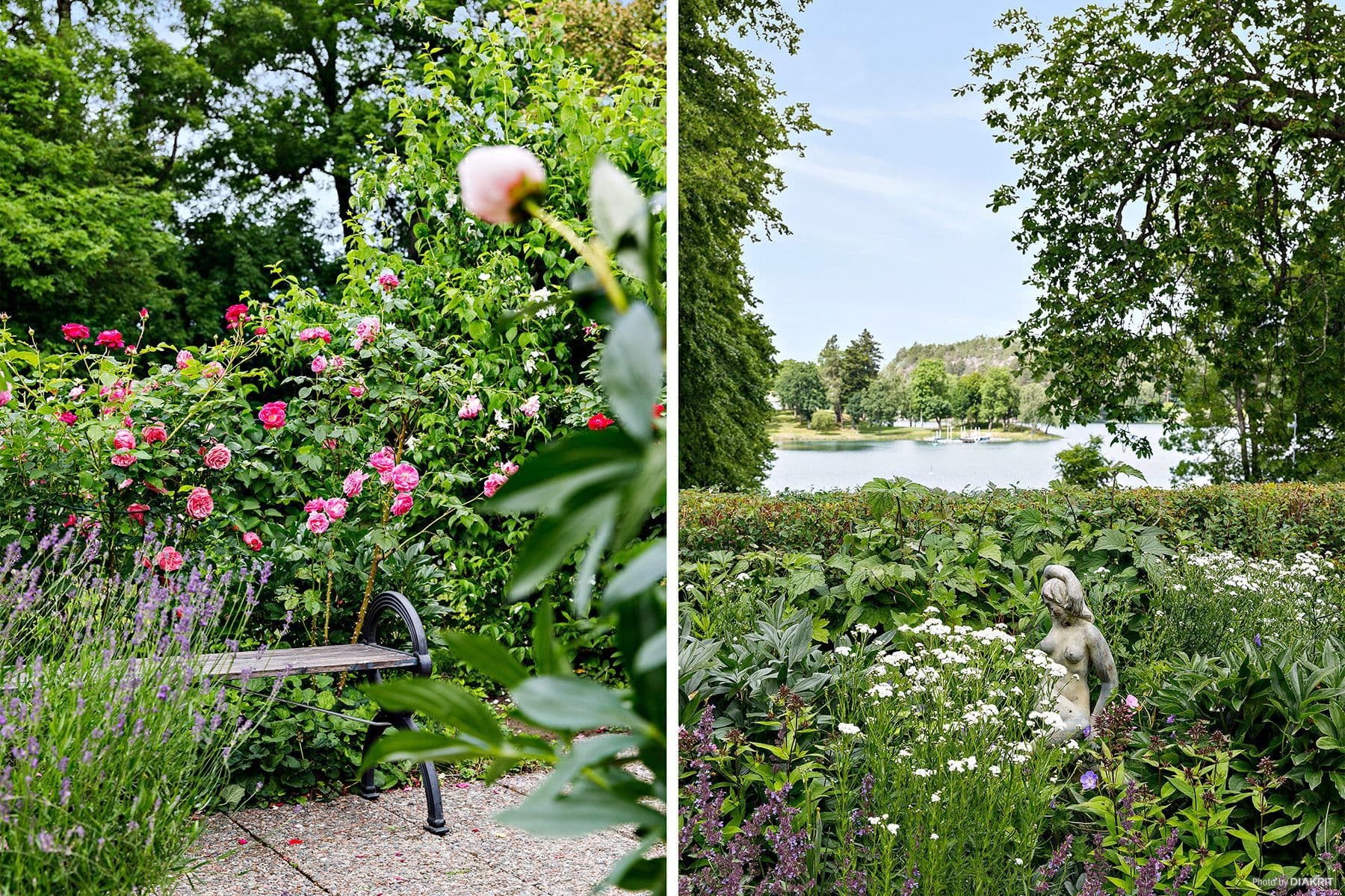 Slottsparken (föreningens mark) som sluttar ner mot vattnet