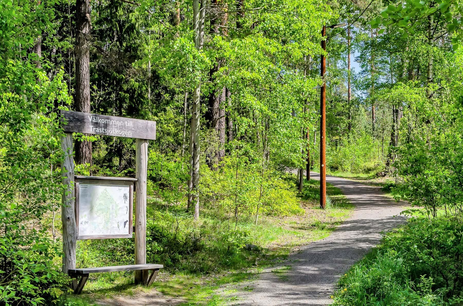 Motionsspår