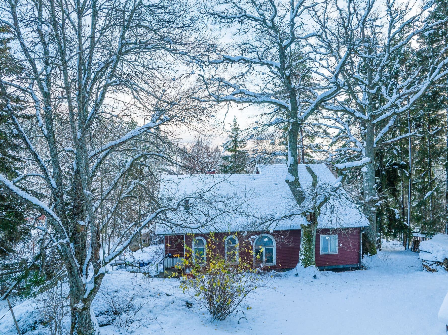 Ståtliga ekar vid huset