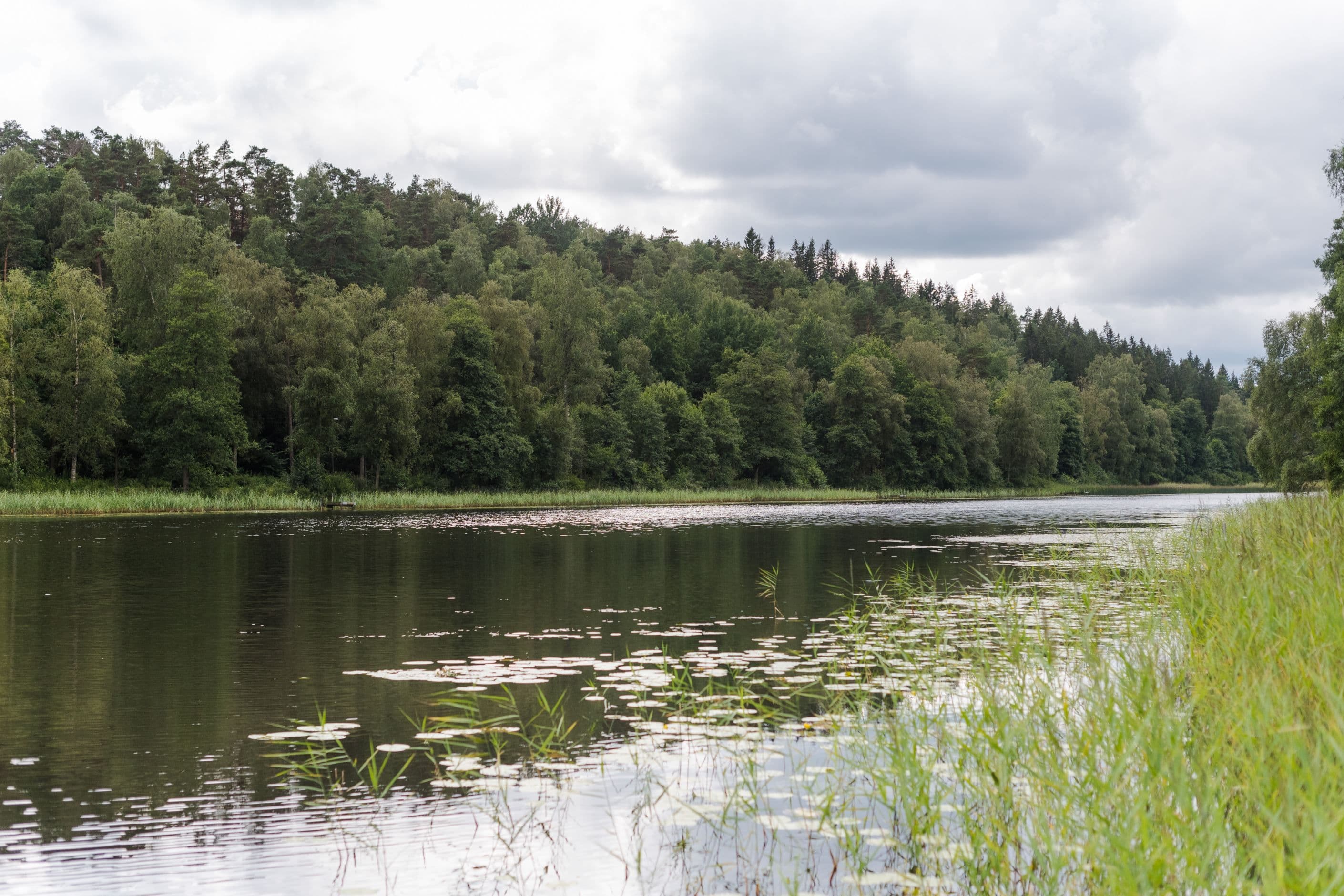 Byttorpssjön