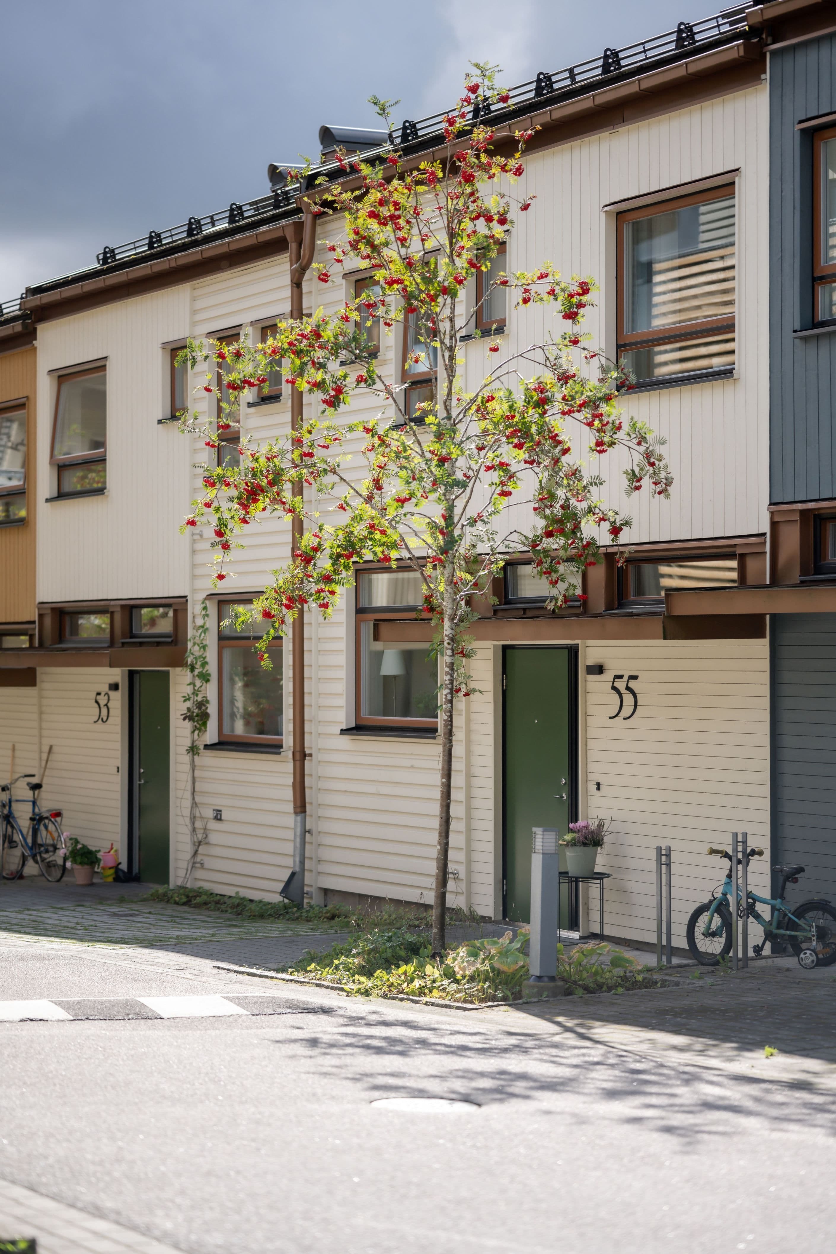 Exteriör