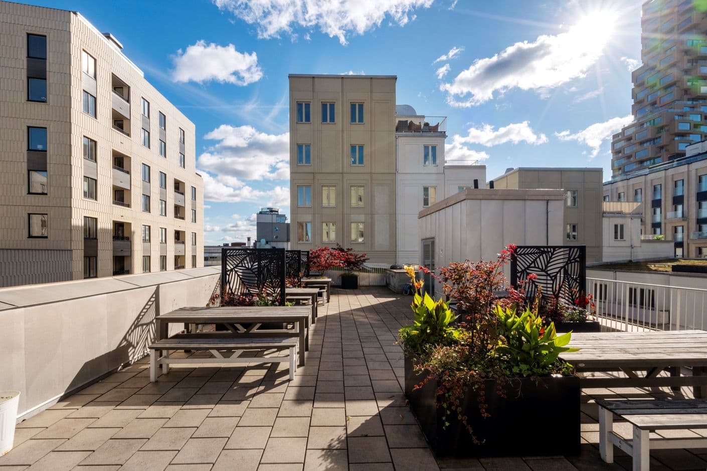 Sonja Kovalevskys Gata 2, 2 tr