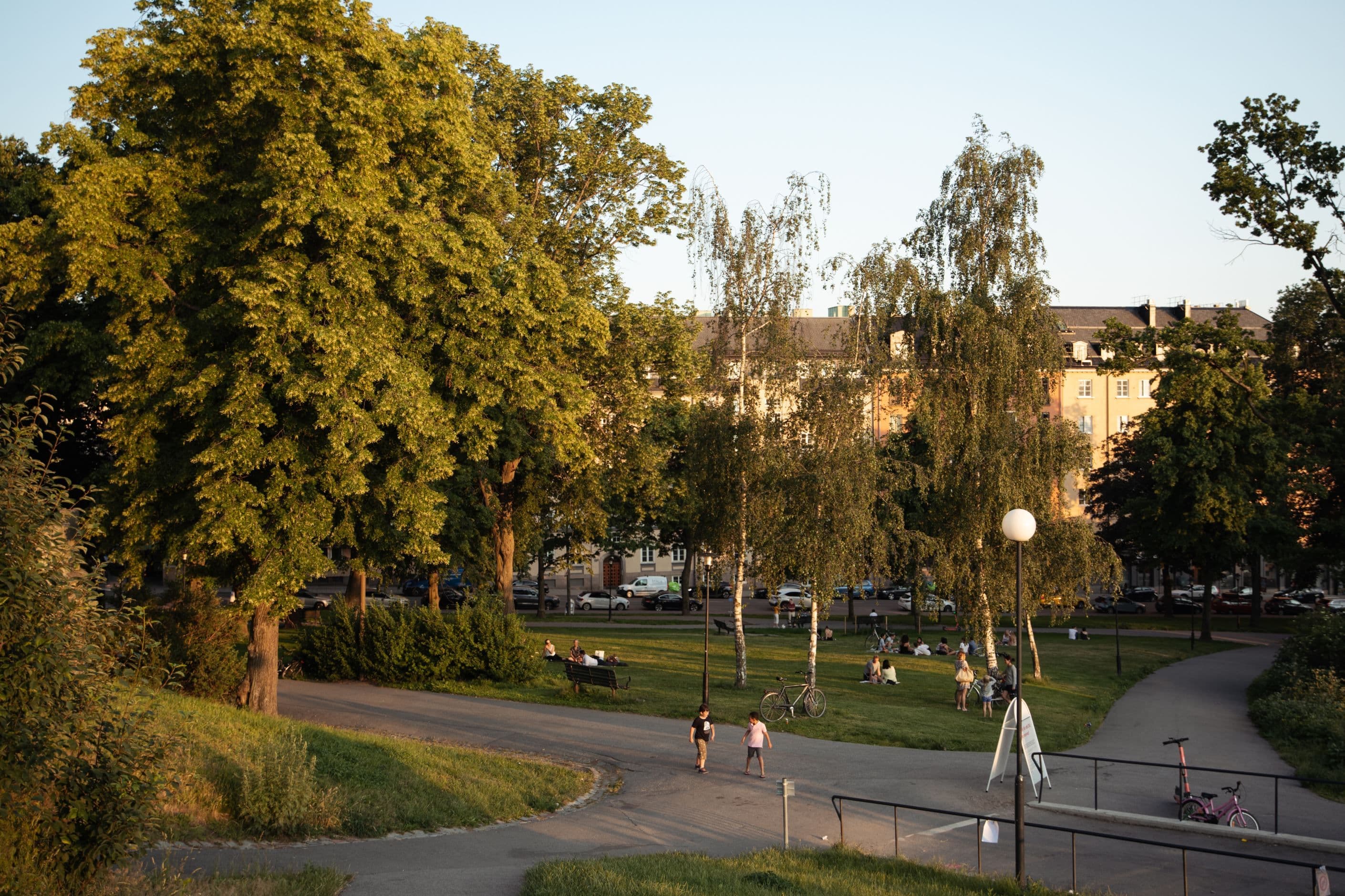 Vanadislunden