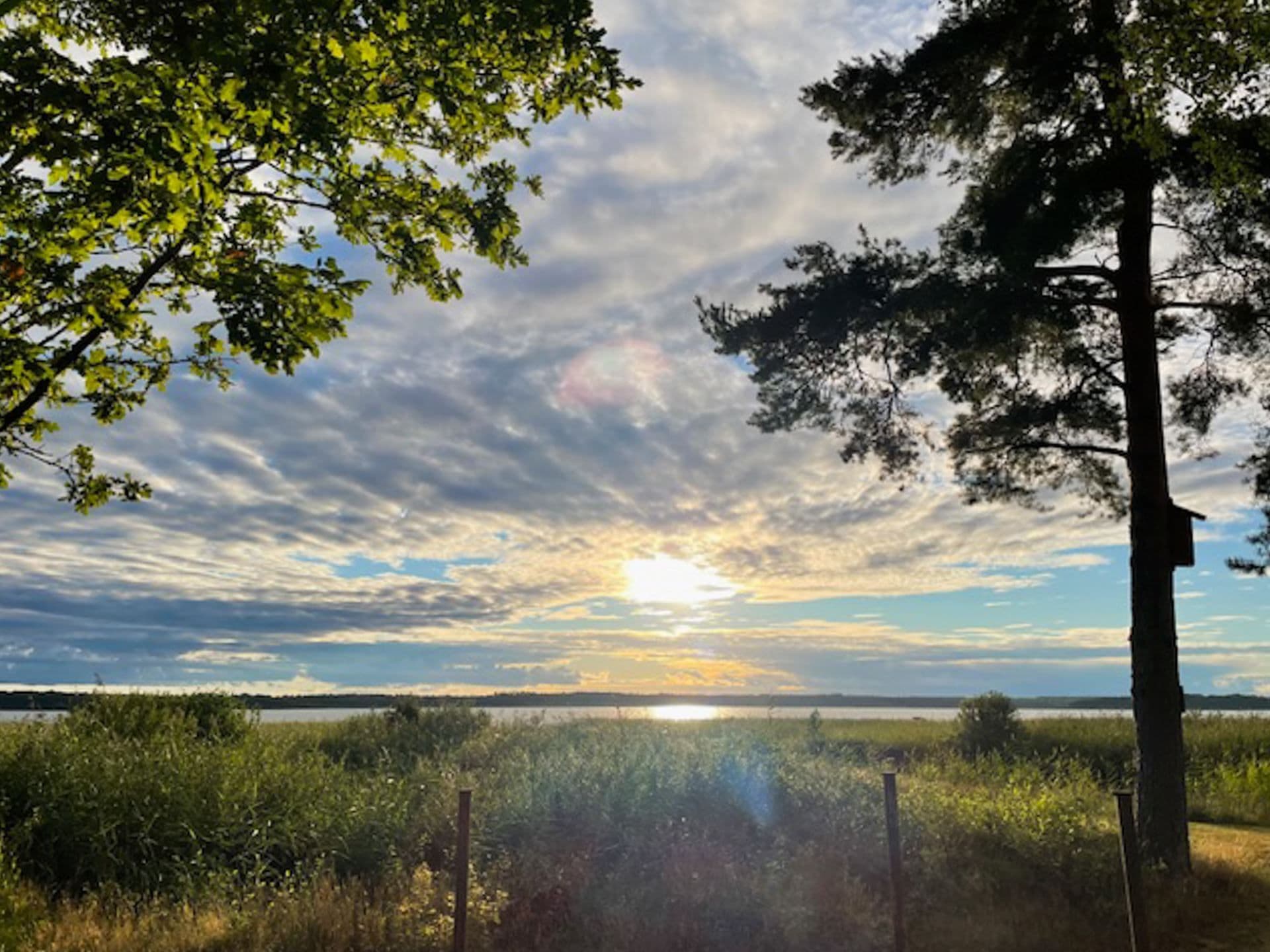 Säljarens egna bild